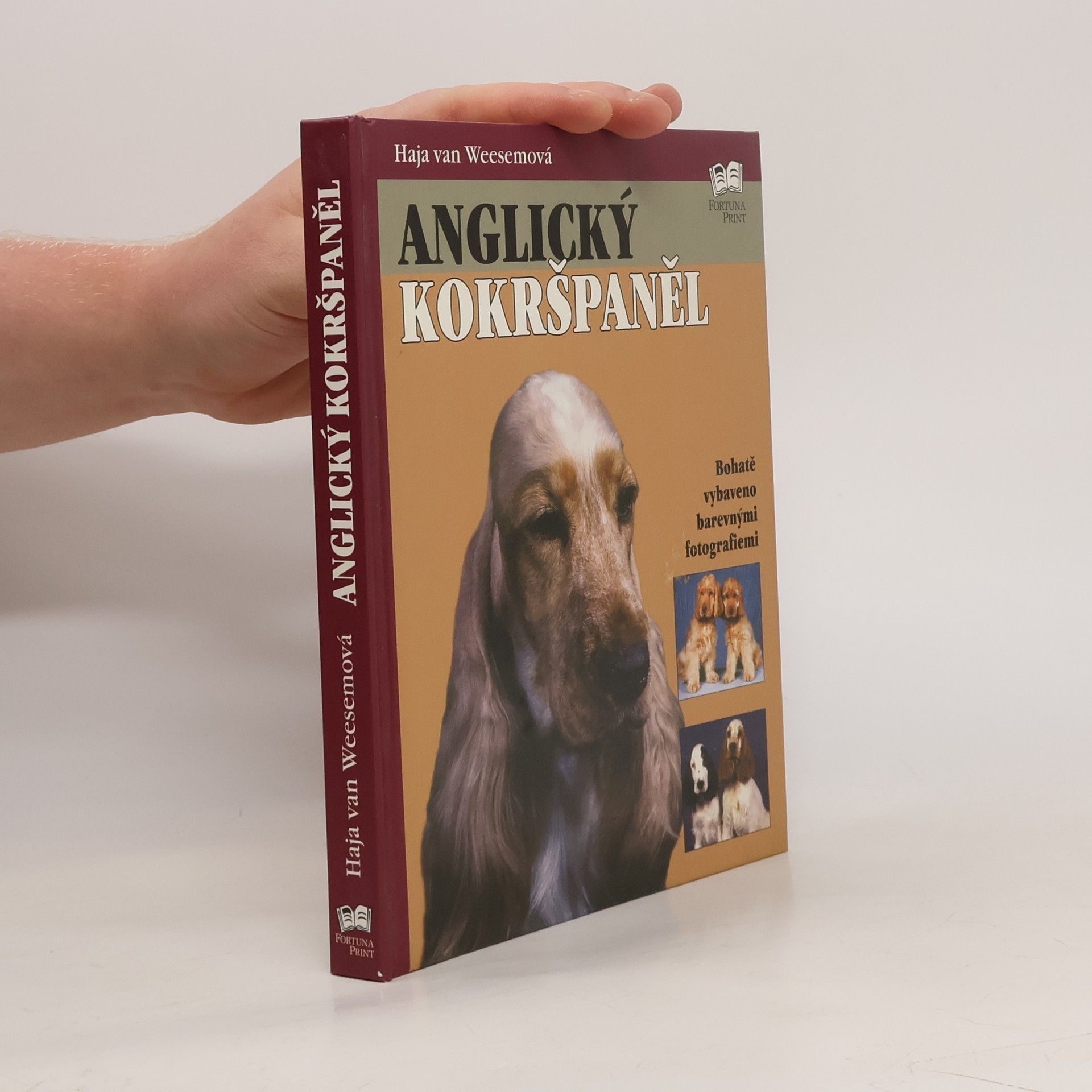 Haja van Wessem Anglický kokršpaněl