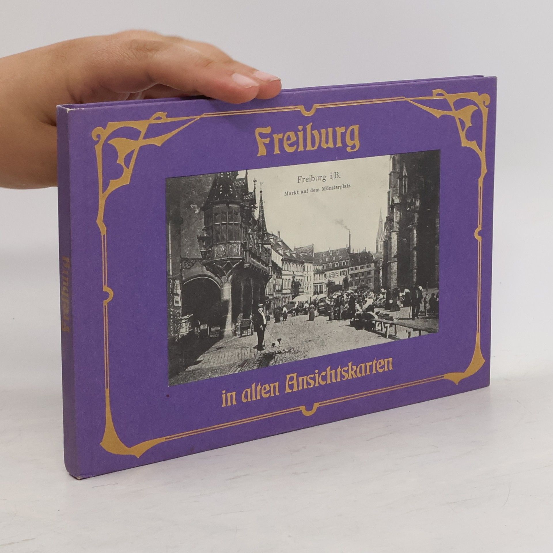 Wolfgang Herterich Freiburg in alten Ansichtskarten