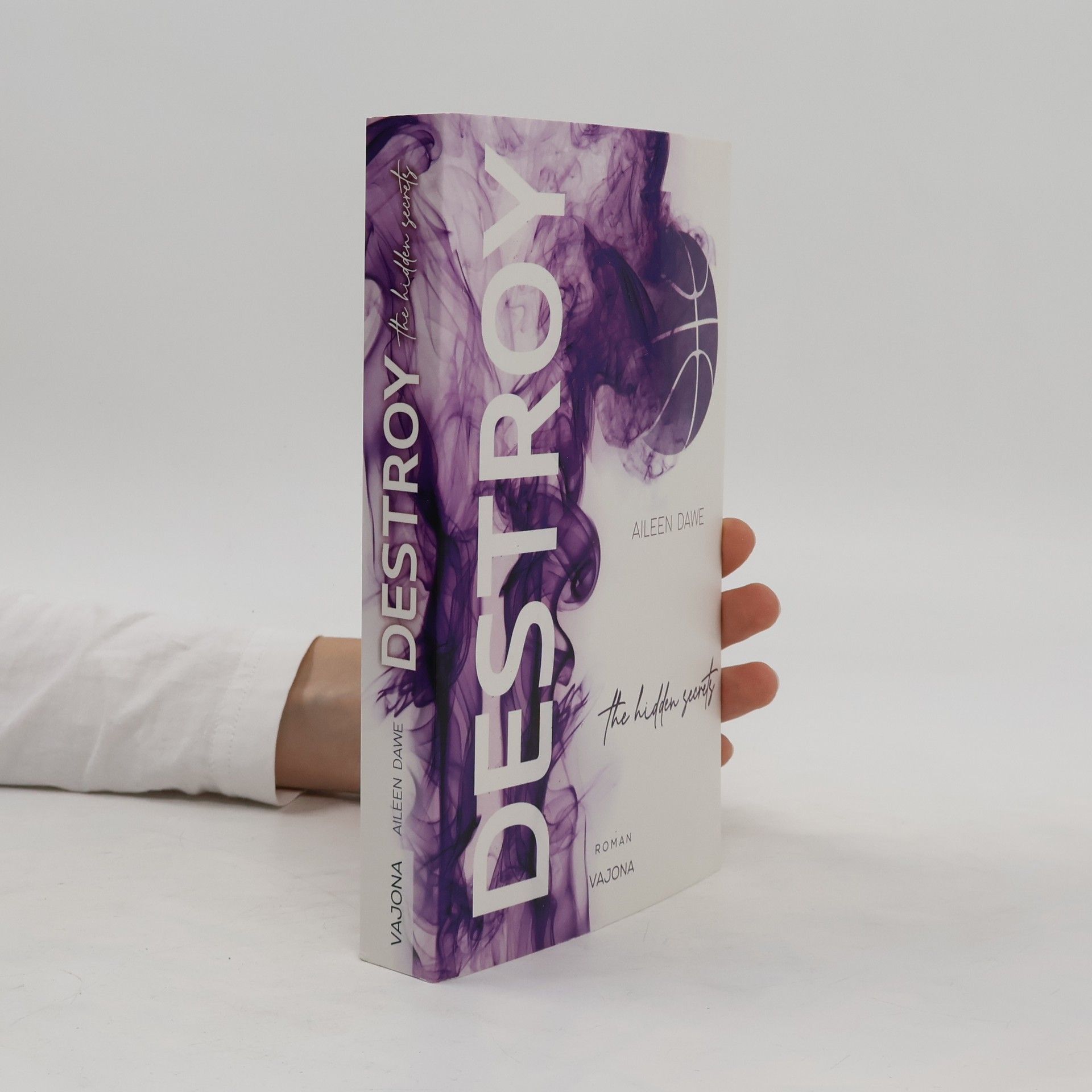 Aileen Dawe DESTROY the hidden secrets (DESTROY-Reihe 1)