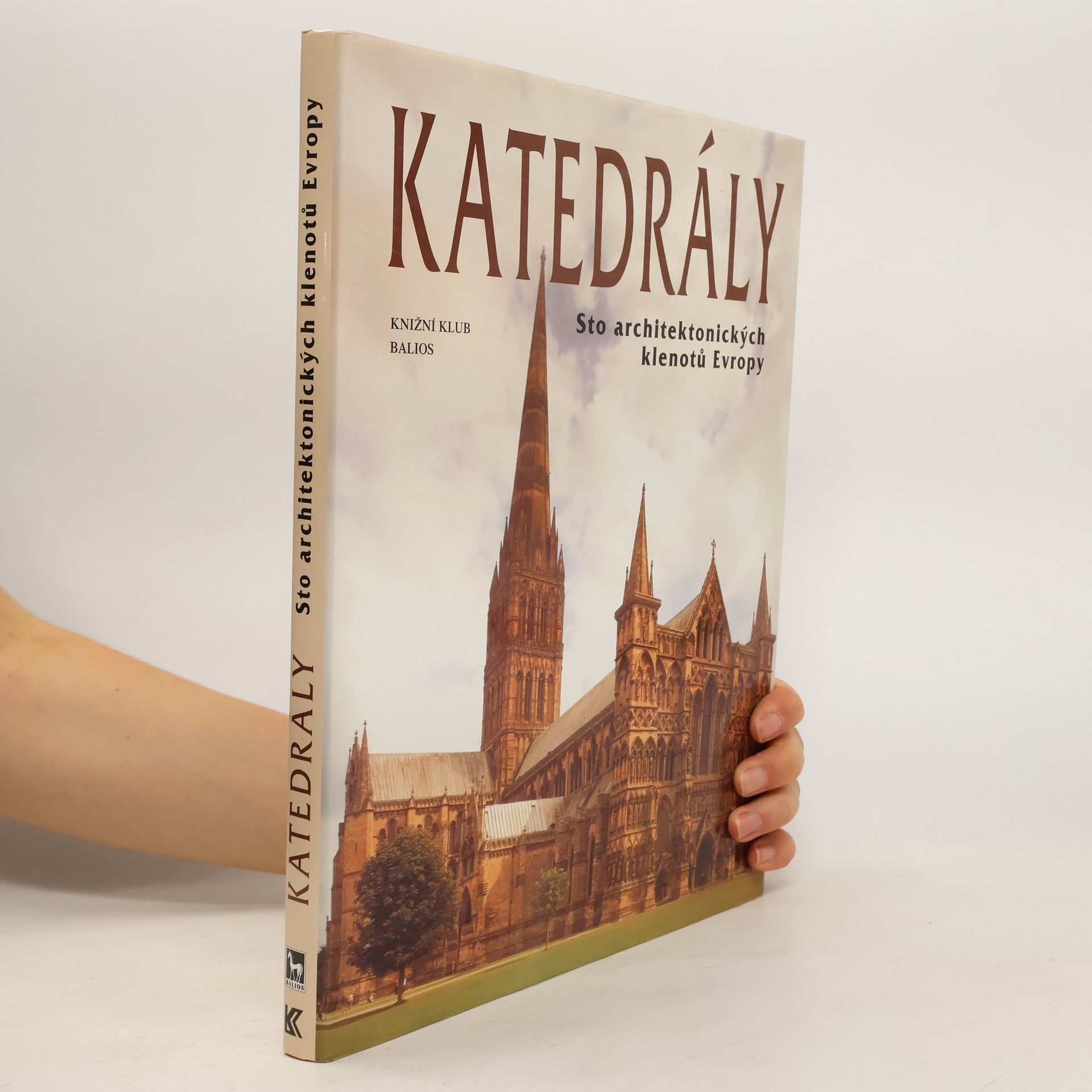 kolektiv Katedrály : sto architektonických klenotů Evropy