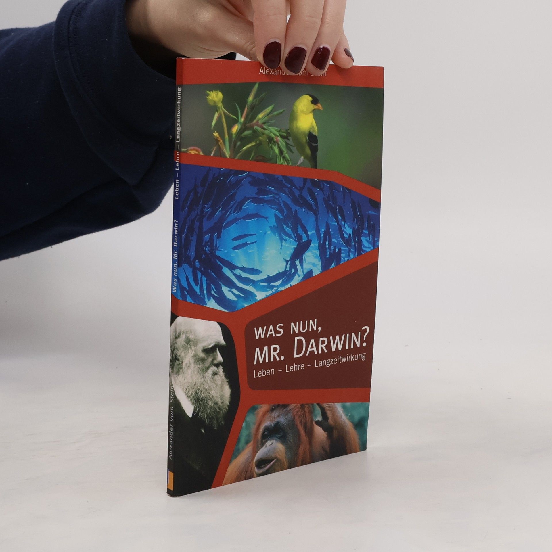 Alexander Vom Stein Was nun, Mr. Darwin?