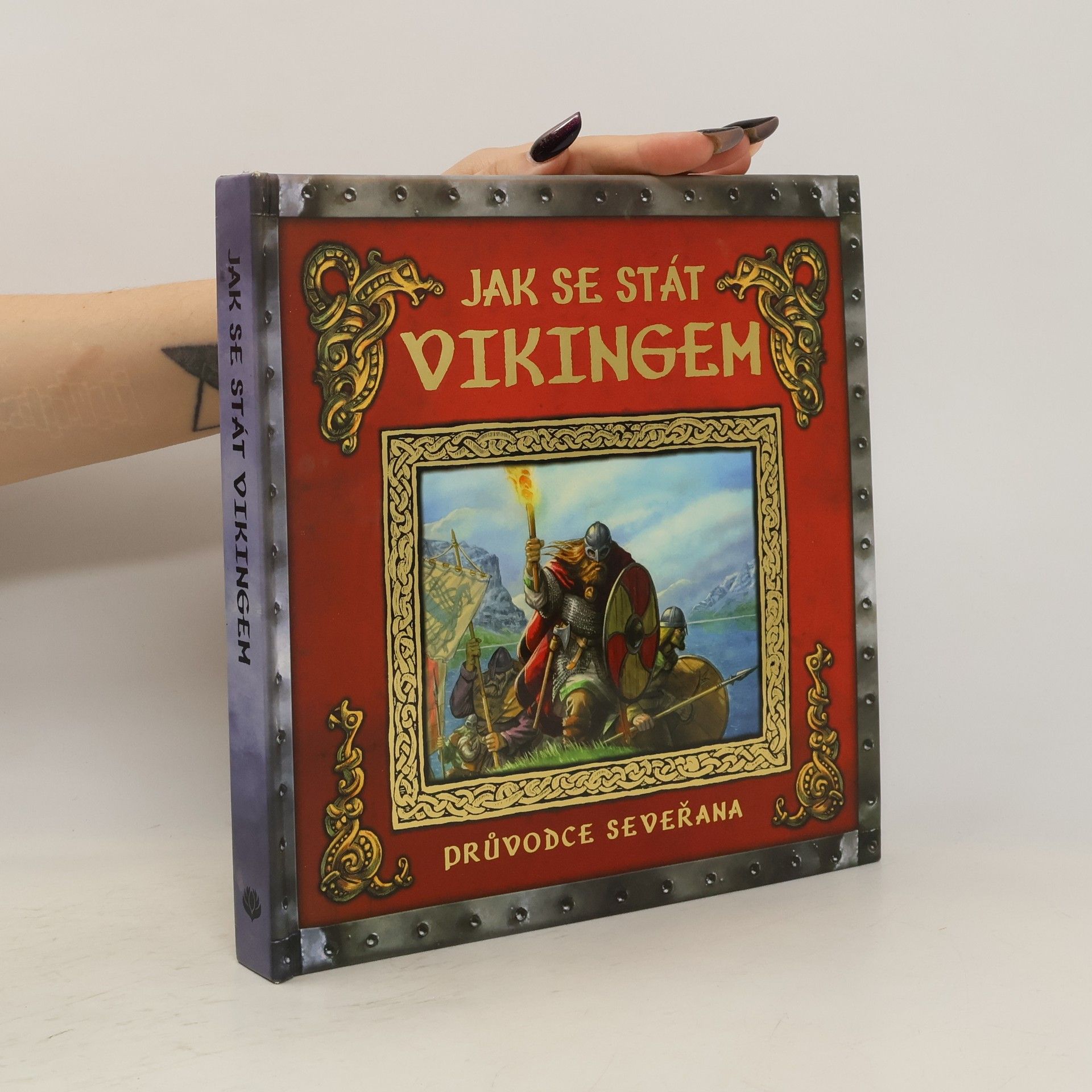 Ari Berk Jak se stát vikingem - Průvodce seveřana