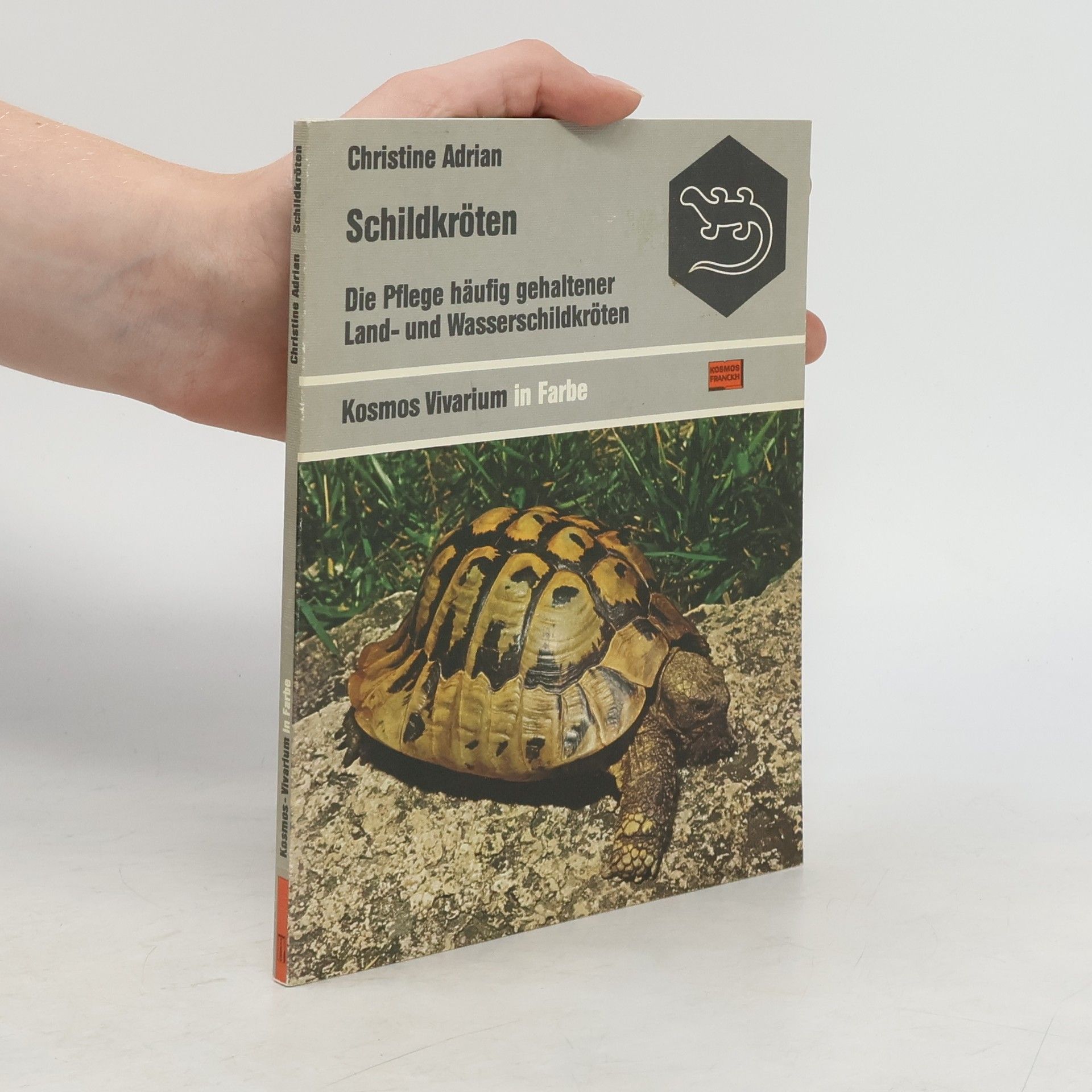 Christine Adrian Schildkröten