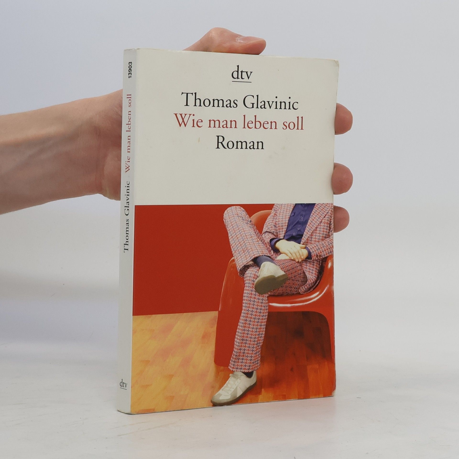 Thomas Glavinic Wie man leben soll