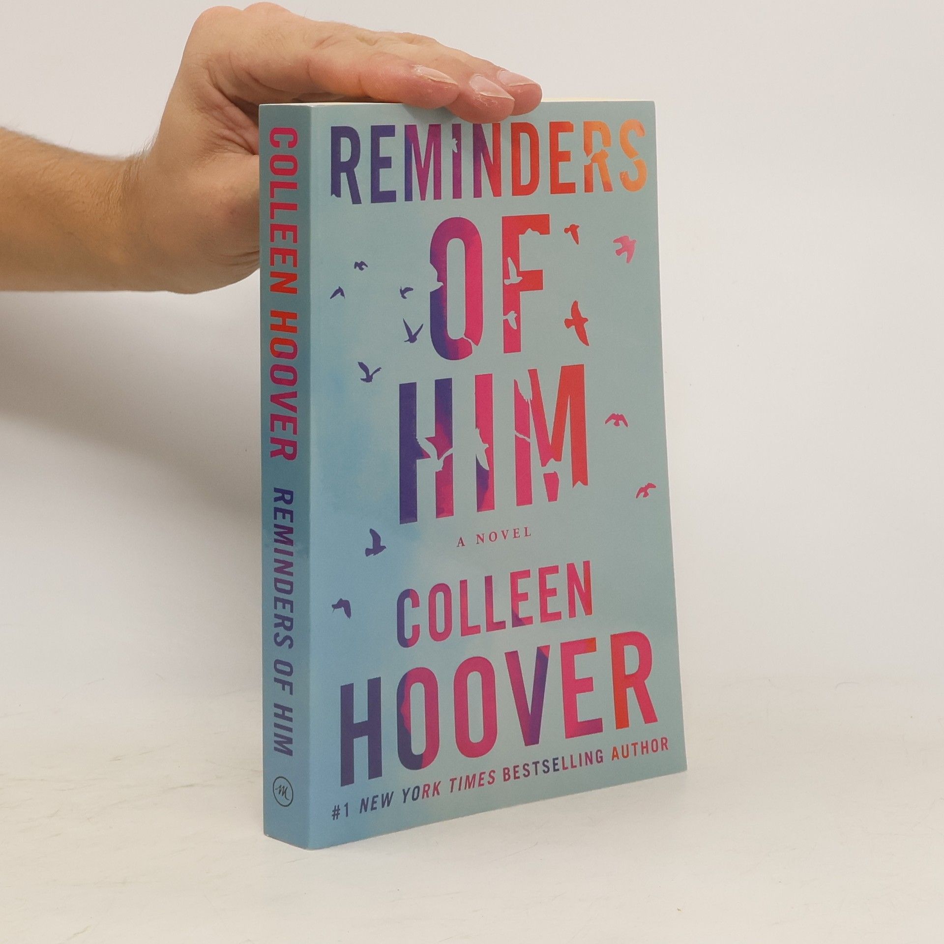 Colleen Hoover Reminders of him