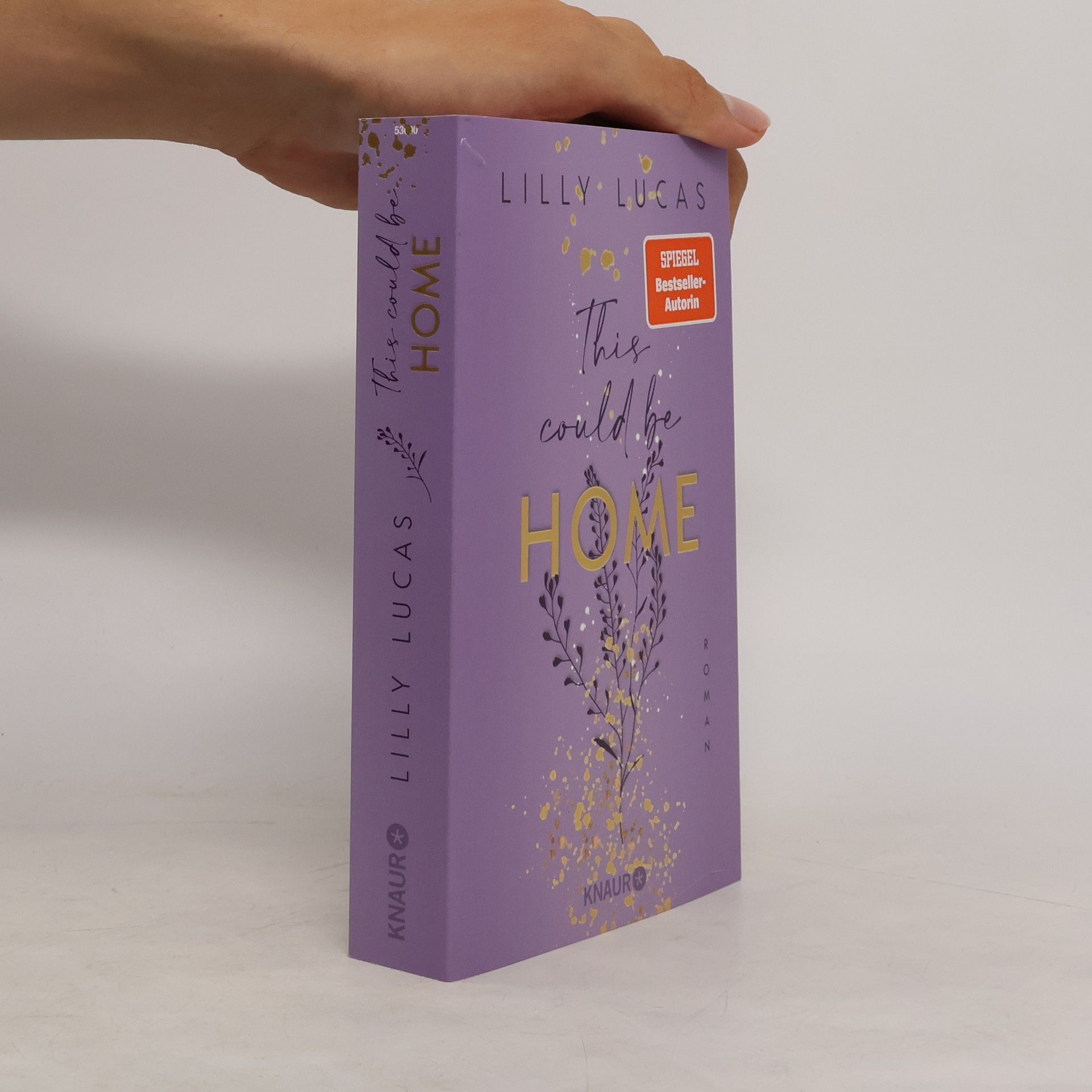 Lilly Lucas This could be home / Hawaii Love Bd.2