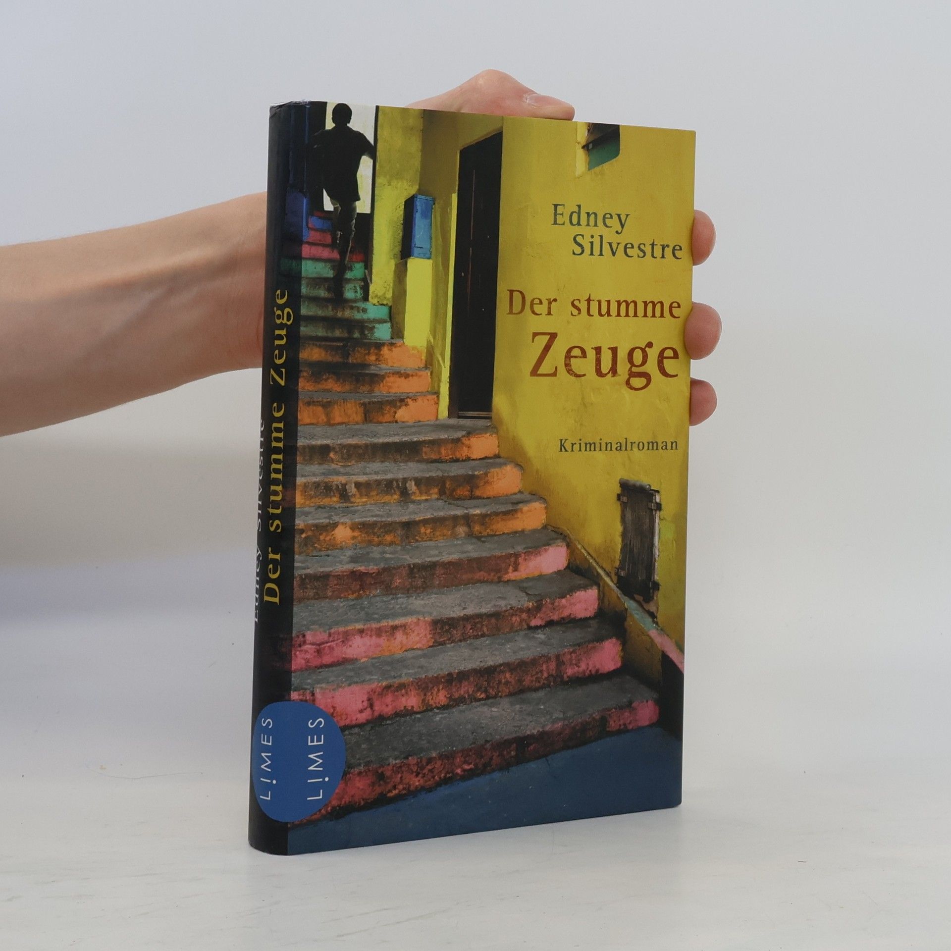 Edney Silvestre Der stumme Zeuge