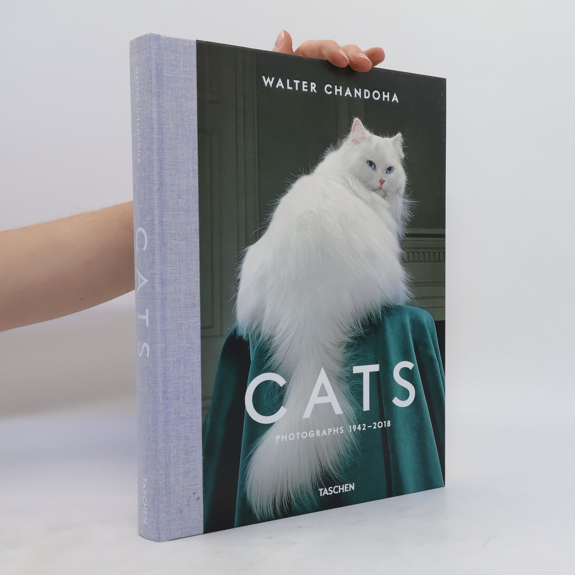 Walter Chandoha Cats
