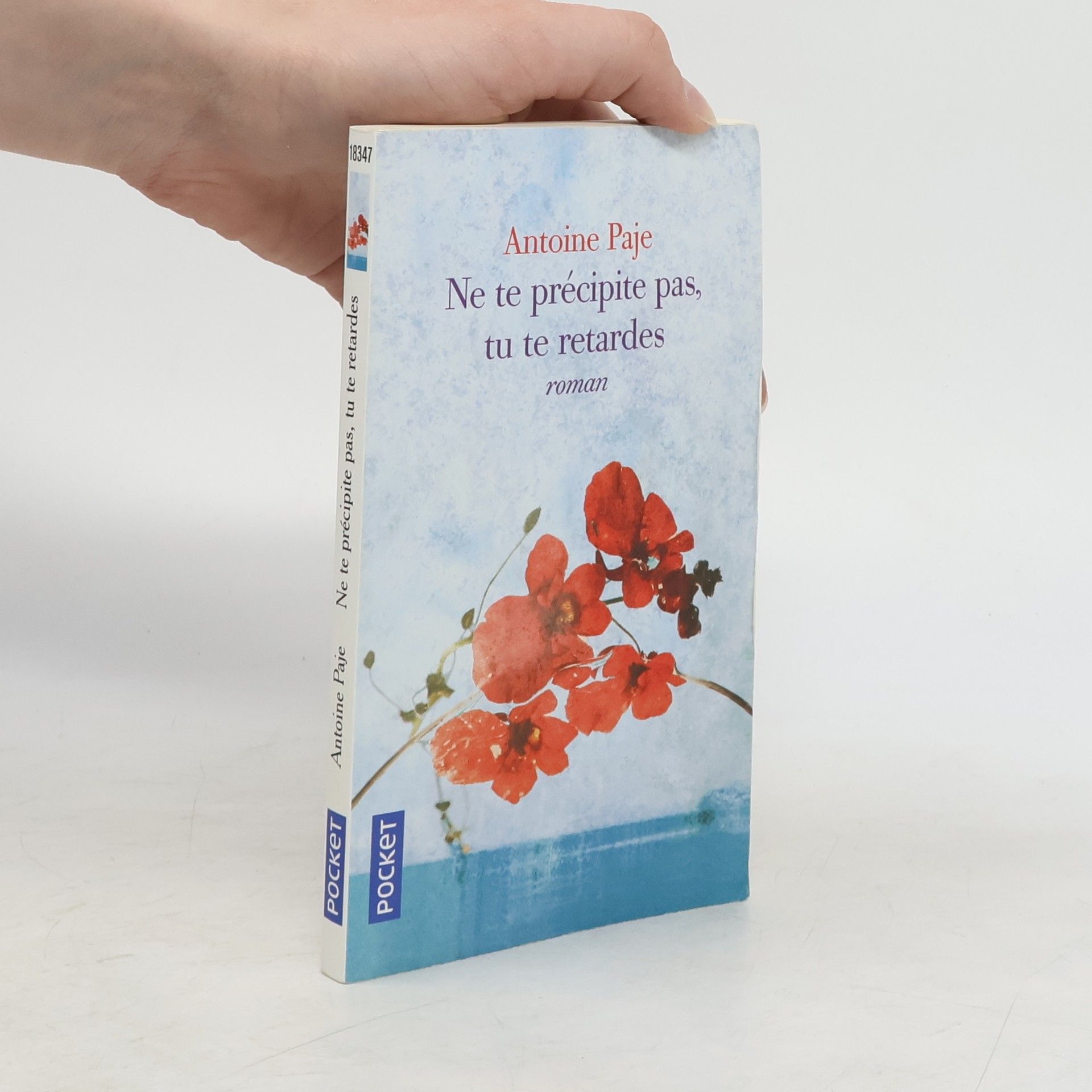 Antoine Paje Ne te précipite pas, tu te retardes