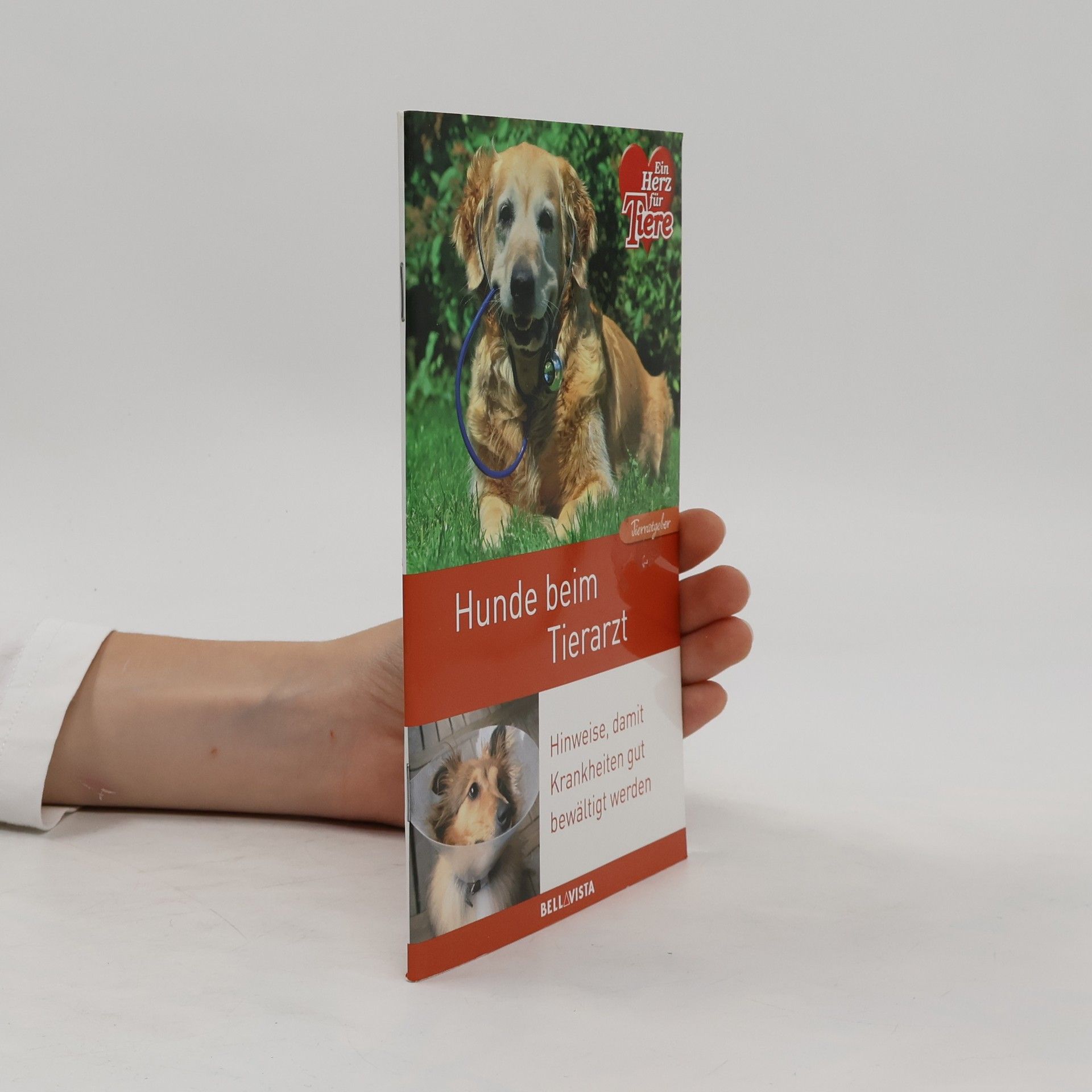 AA.VV. Hunde beim Tierarzt