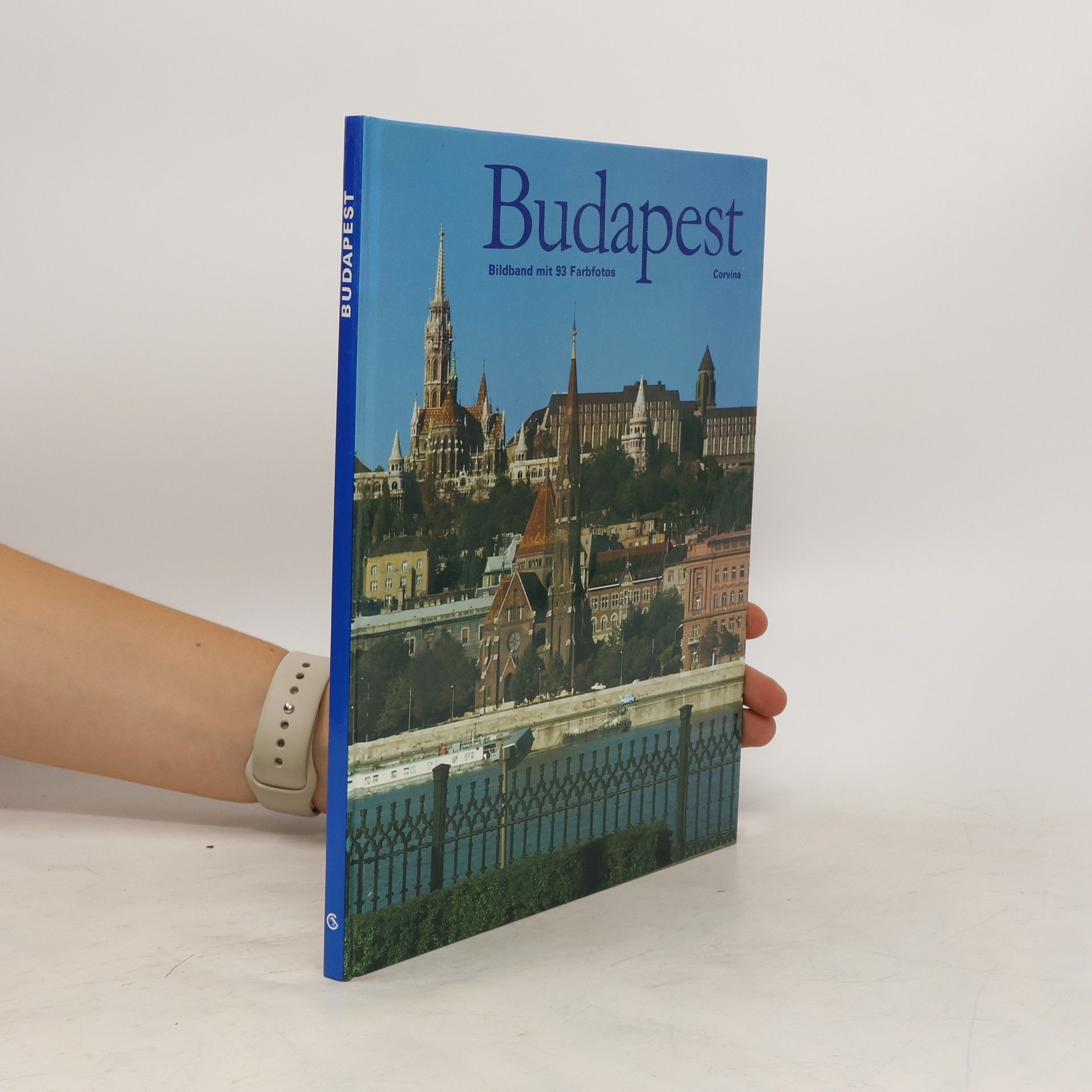 Autores varios Budapest