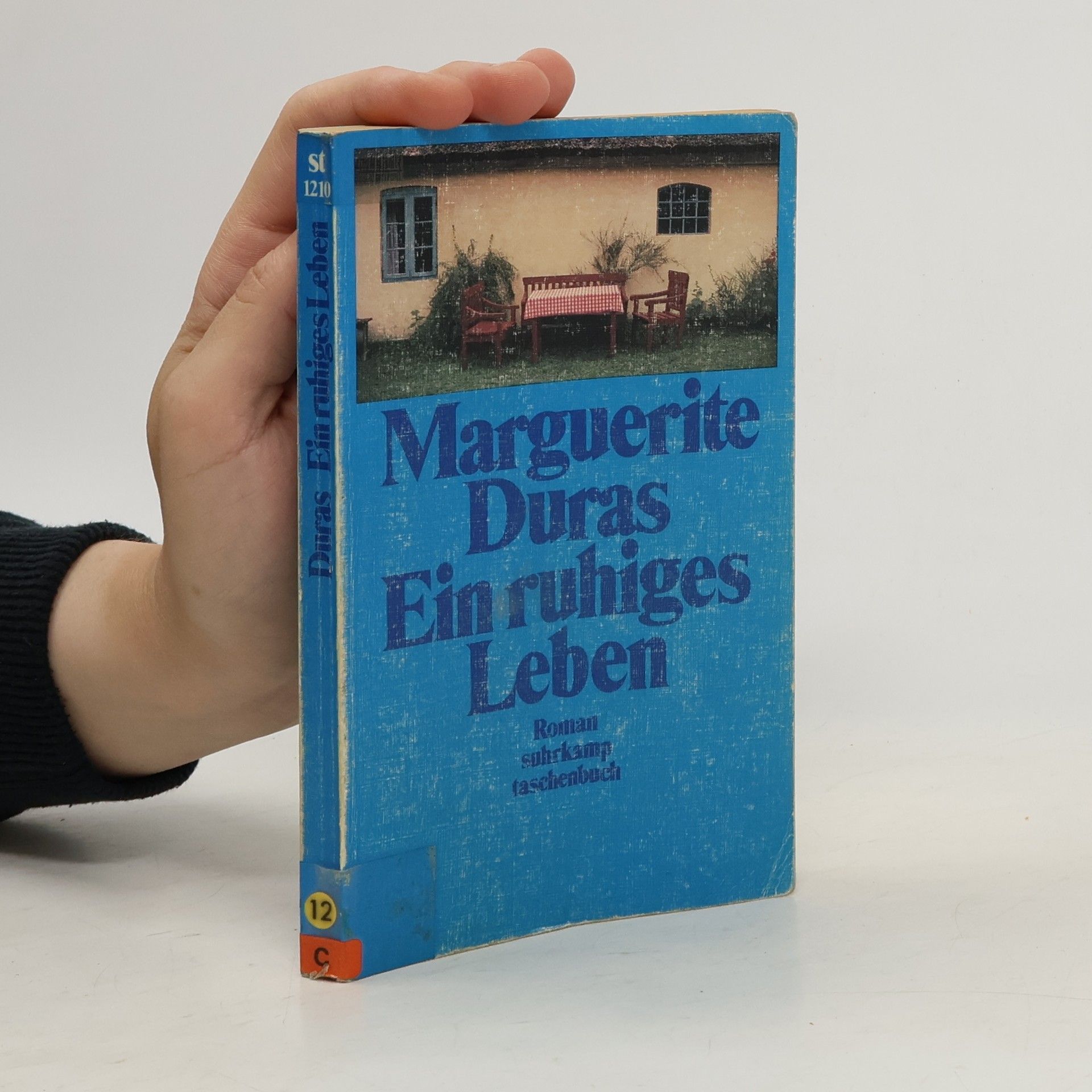 Marguerite Duras Ein ruhiges Leben. Roman