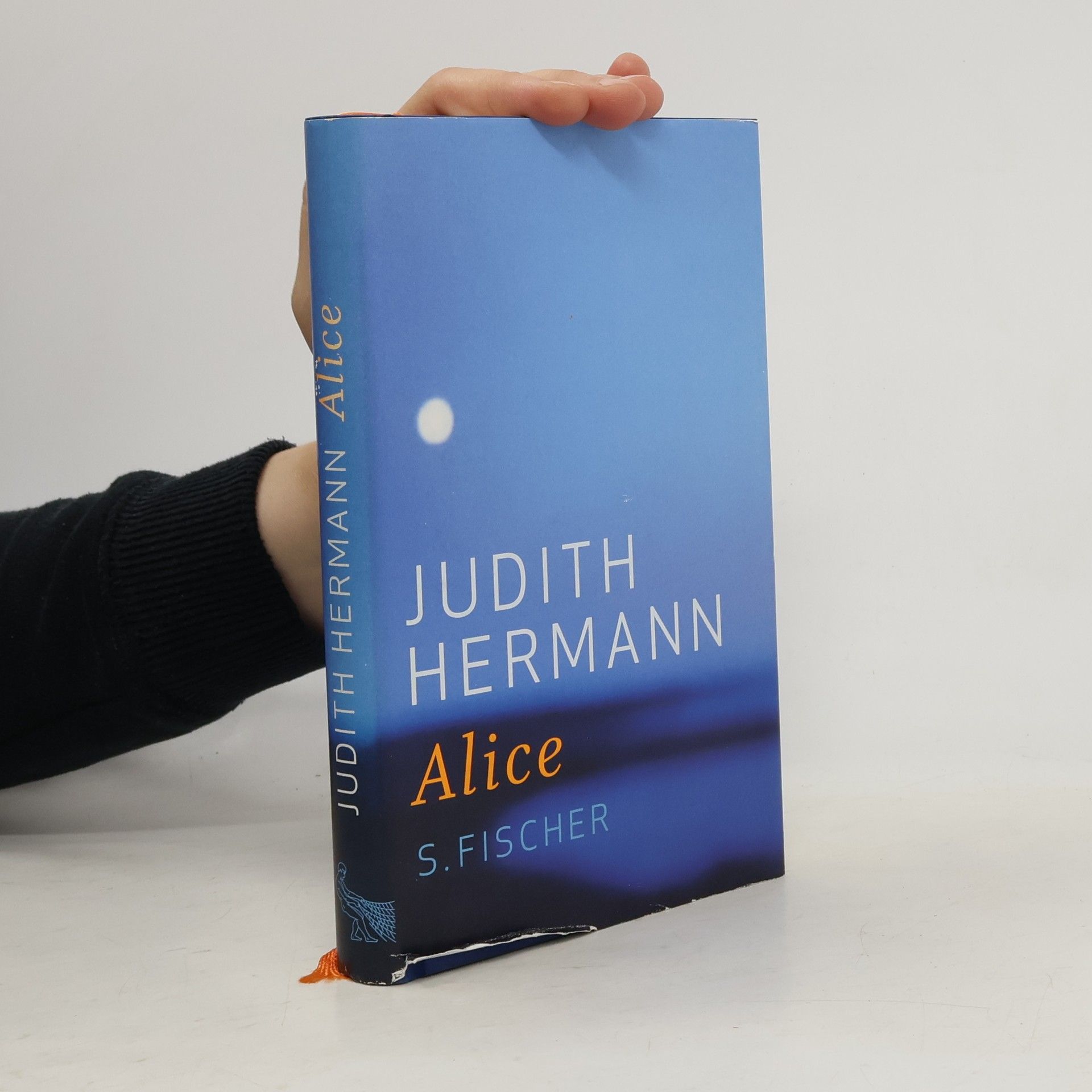 Judith Hermann Alice