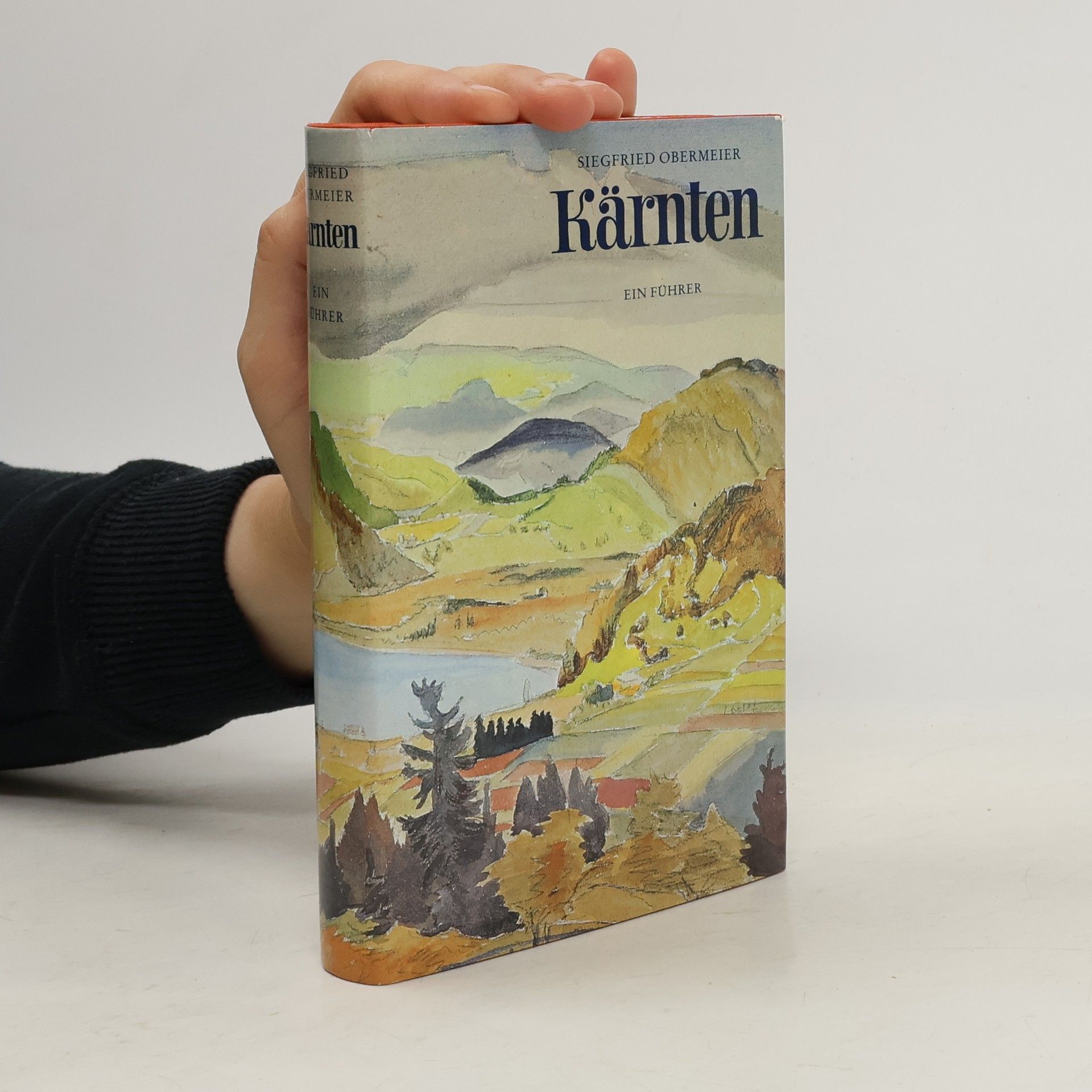 Siegfried Obermeier Kärnten
