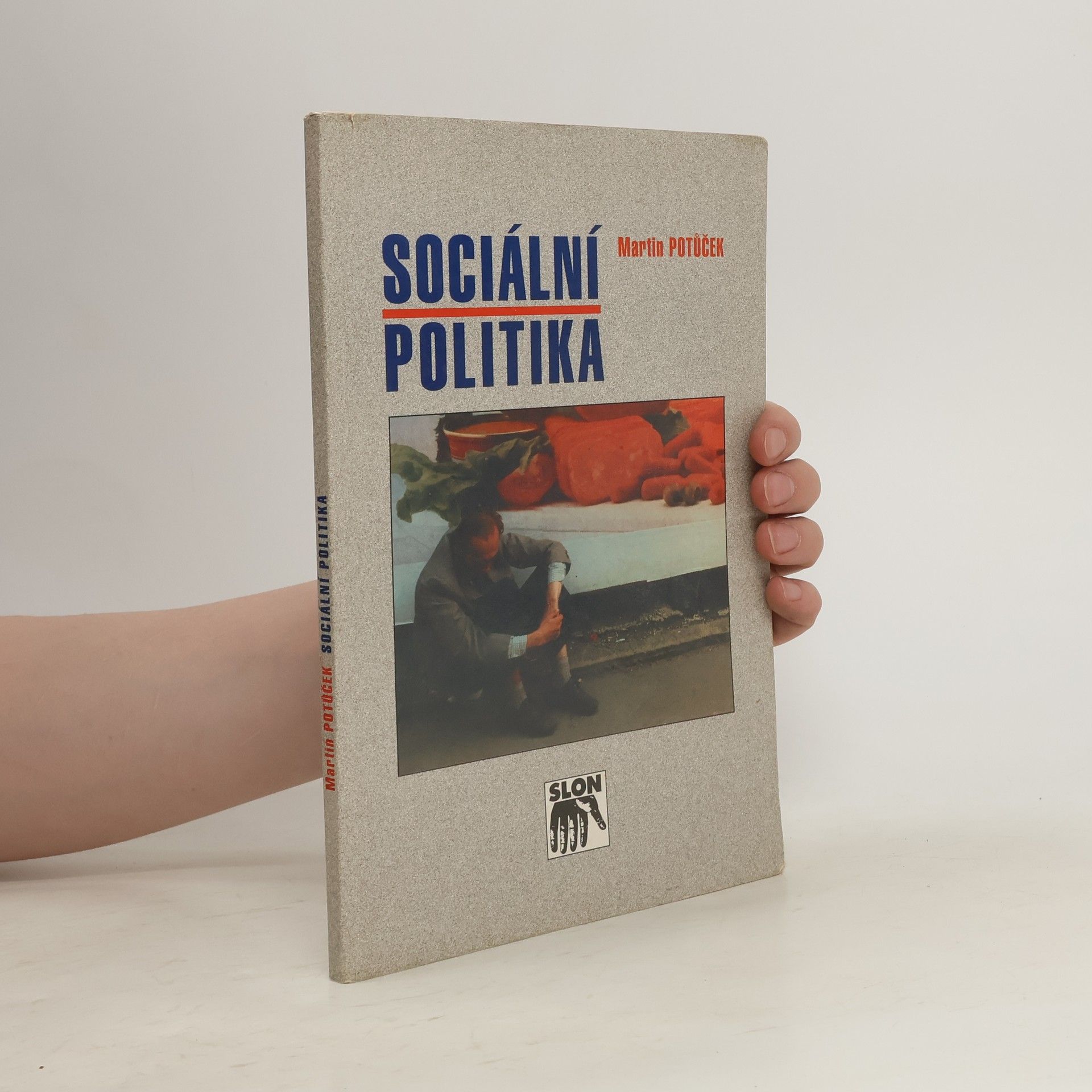 Martin Potůček Sociální politika