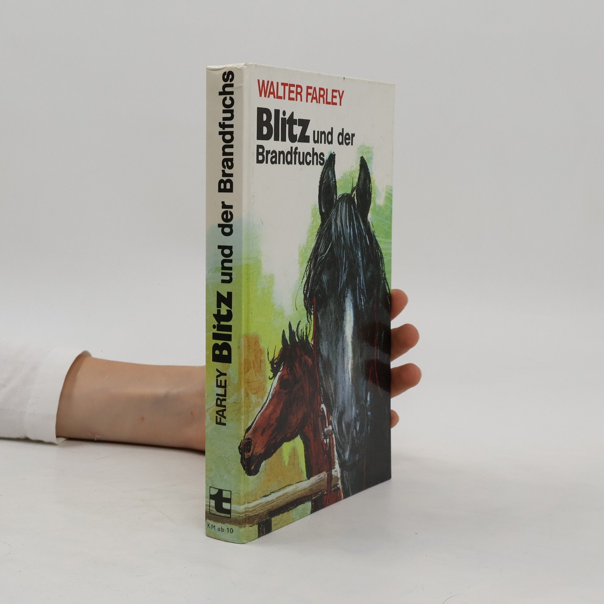 Walter Farley Blitz und der Brandfuchs