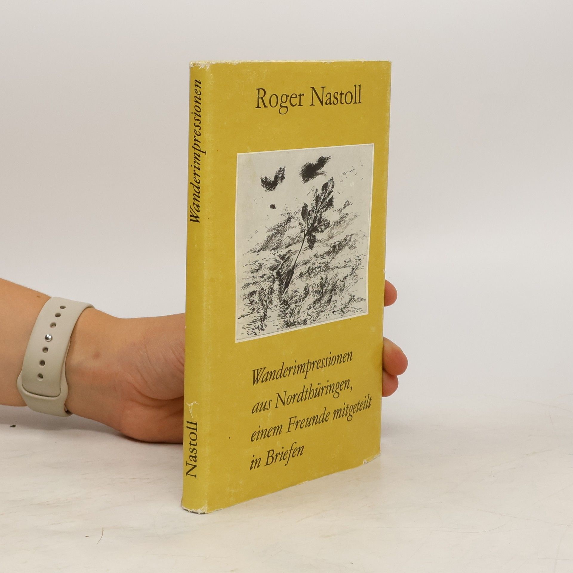 Roger Nastoll Wanderimpressionen aus Nordthüringen, einem Freunde mitgeteilt in Briefen