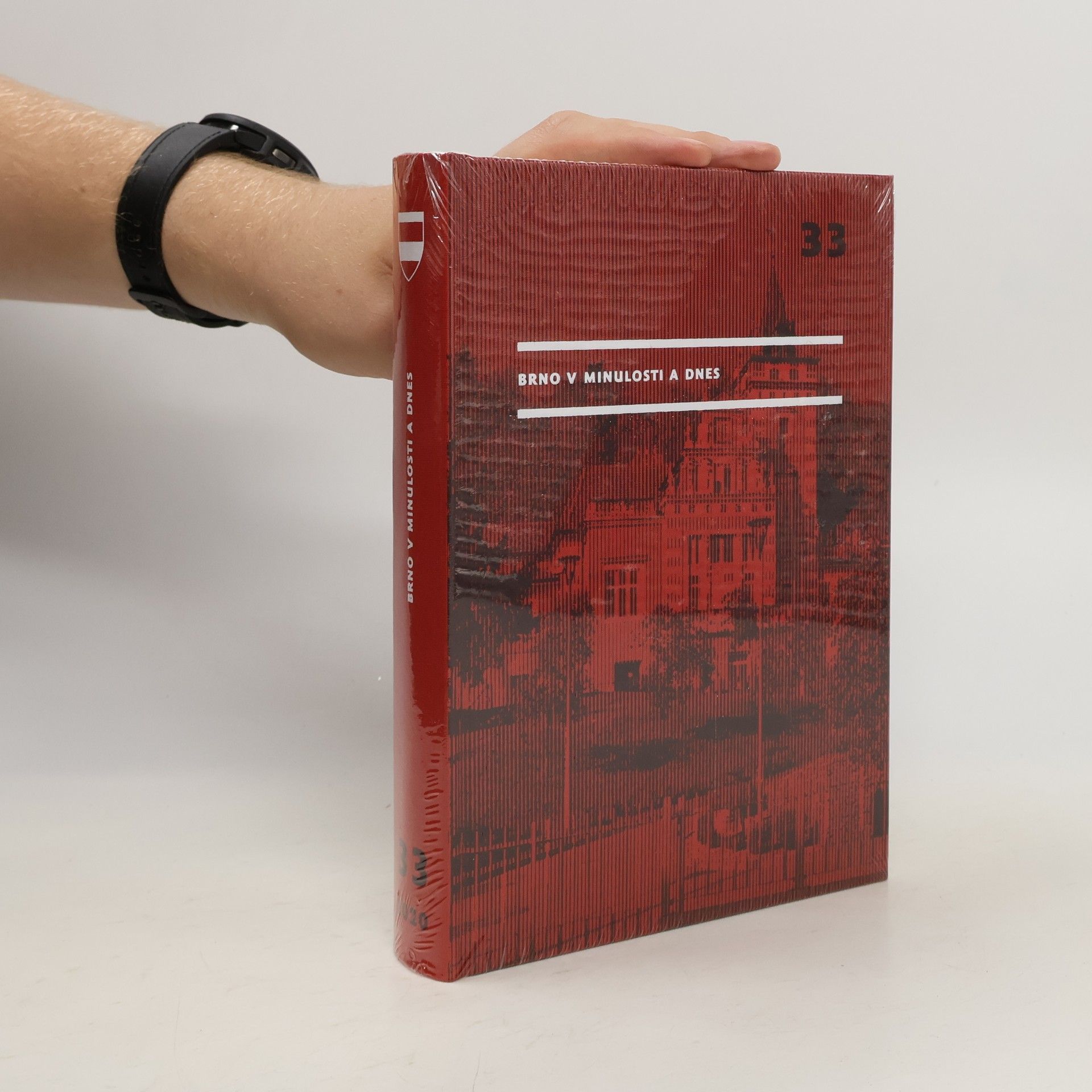 kolektiv Brno v minulosti a dnes 33