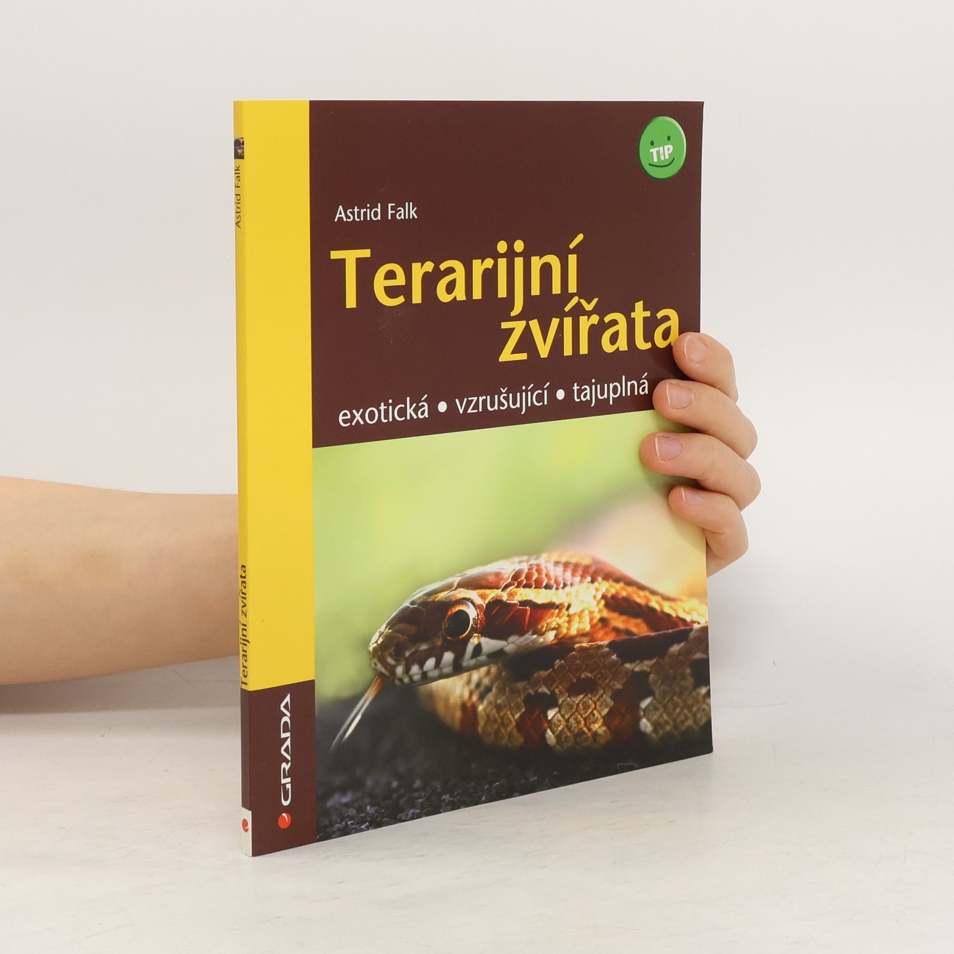 Astrid Falk Terarijní zvířata - exotická, vzrušující, tajuplná