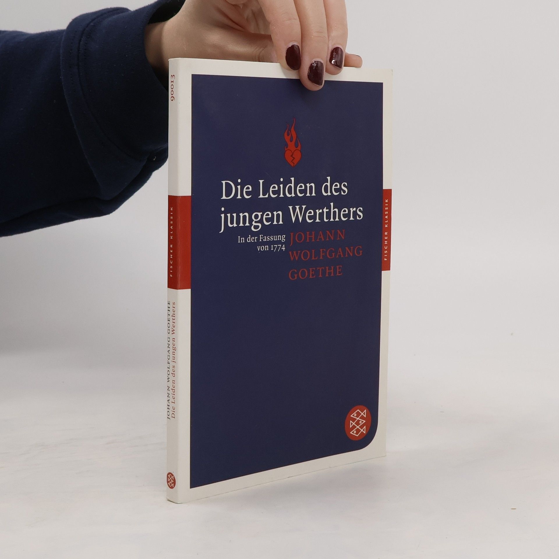 Johann Wolfgang von Goethe Die Leiden des jungen Werthers