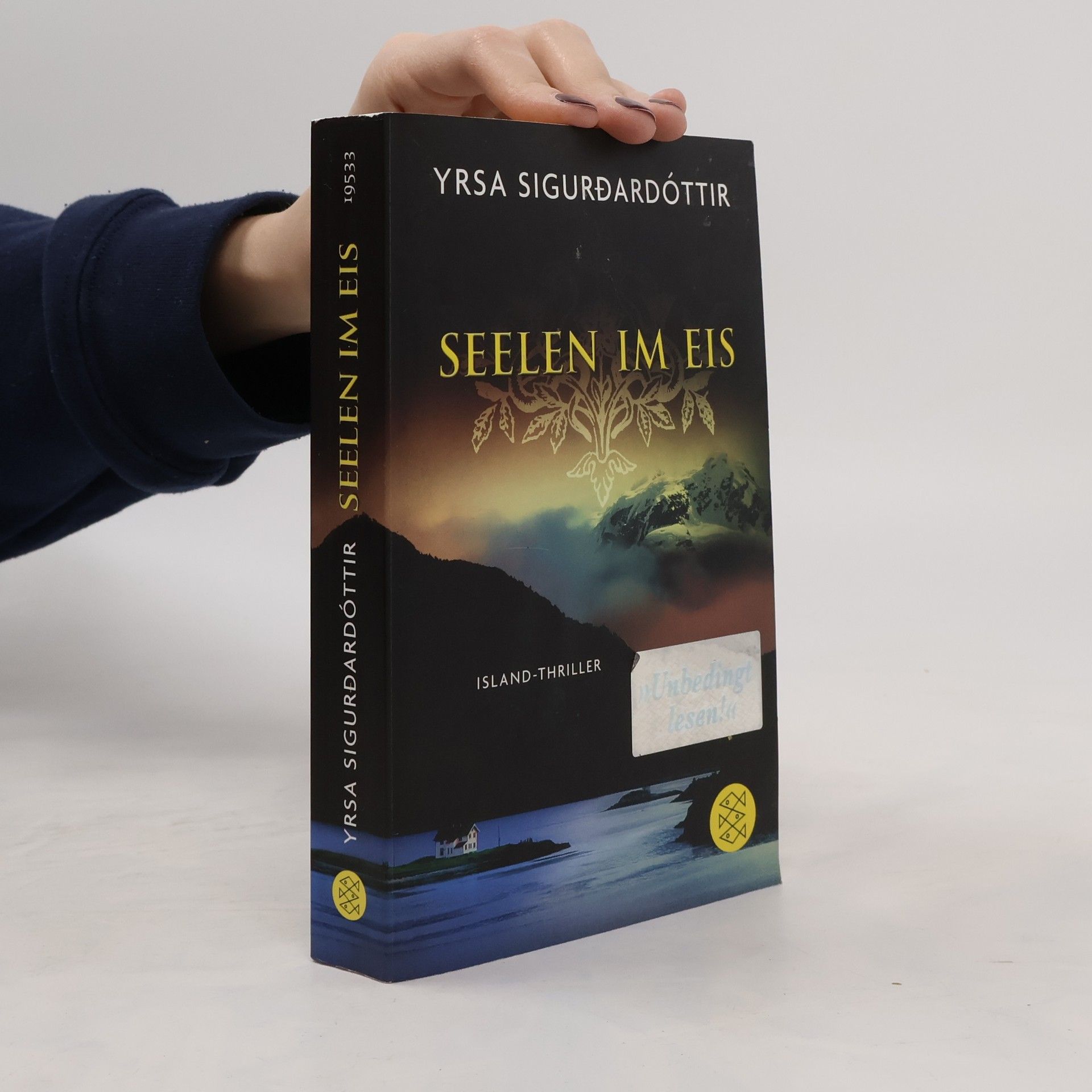 Yrsa Sigurðardóttir Seelen im Eis