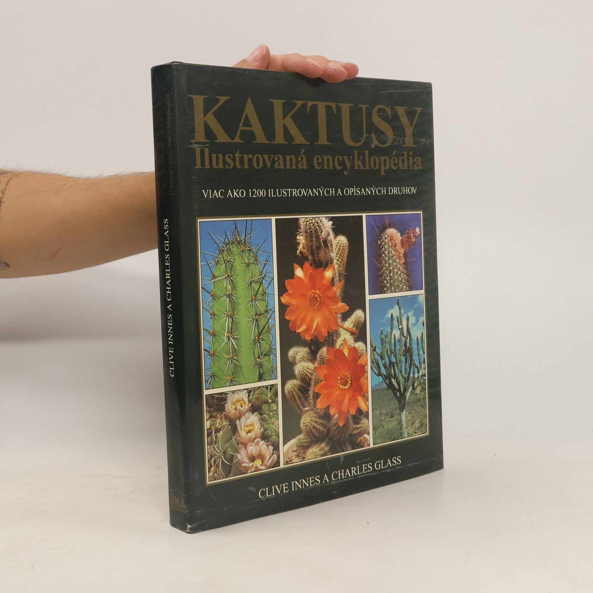Clive Innes Kaktusy - Ilustrovaná encyklopédia