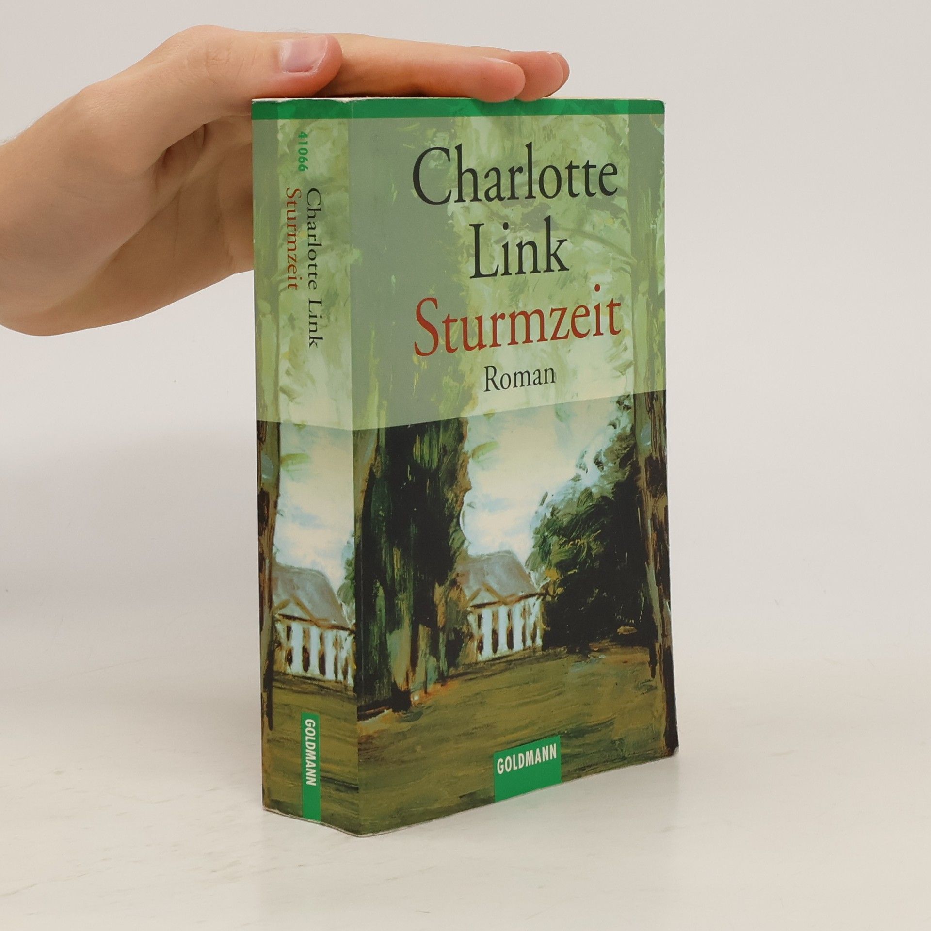 Charlotte Link Sturmzeit