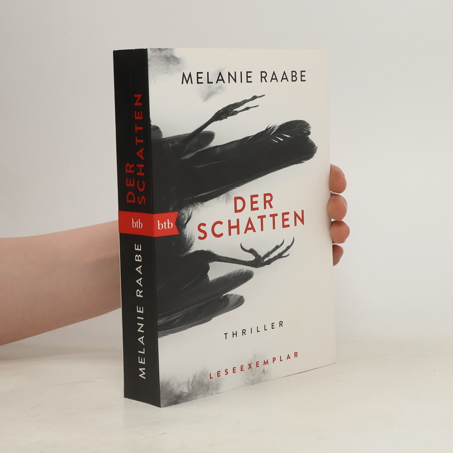 Melanie Raabe Der Schatten