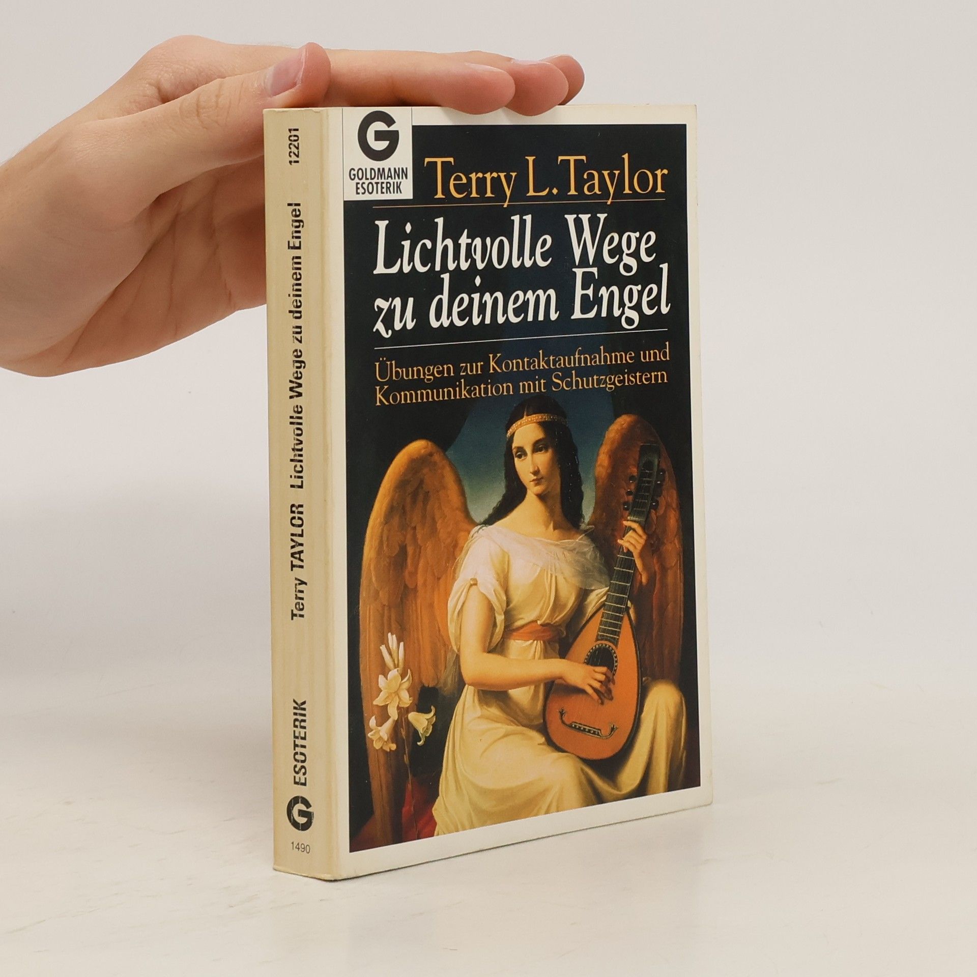 Terry Lynn Taylor Lichtvolle Wege zu deinem Engel