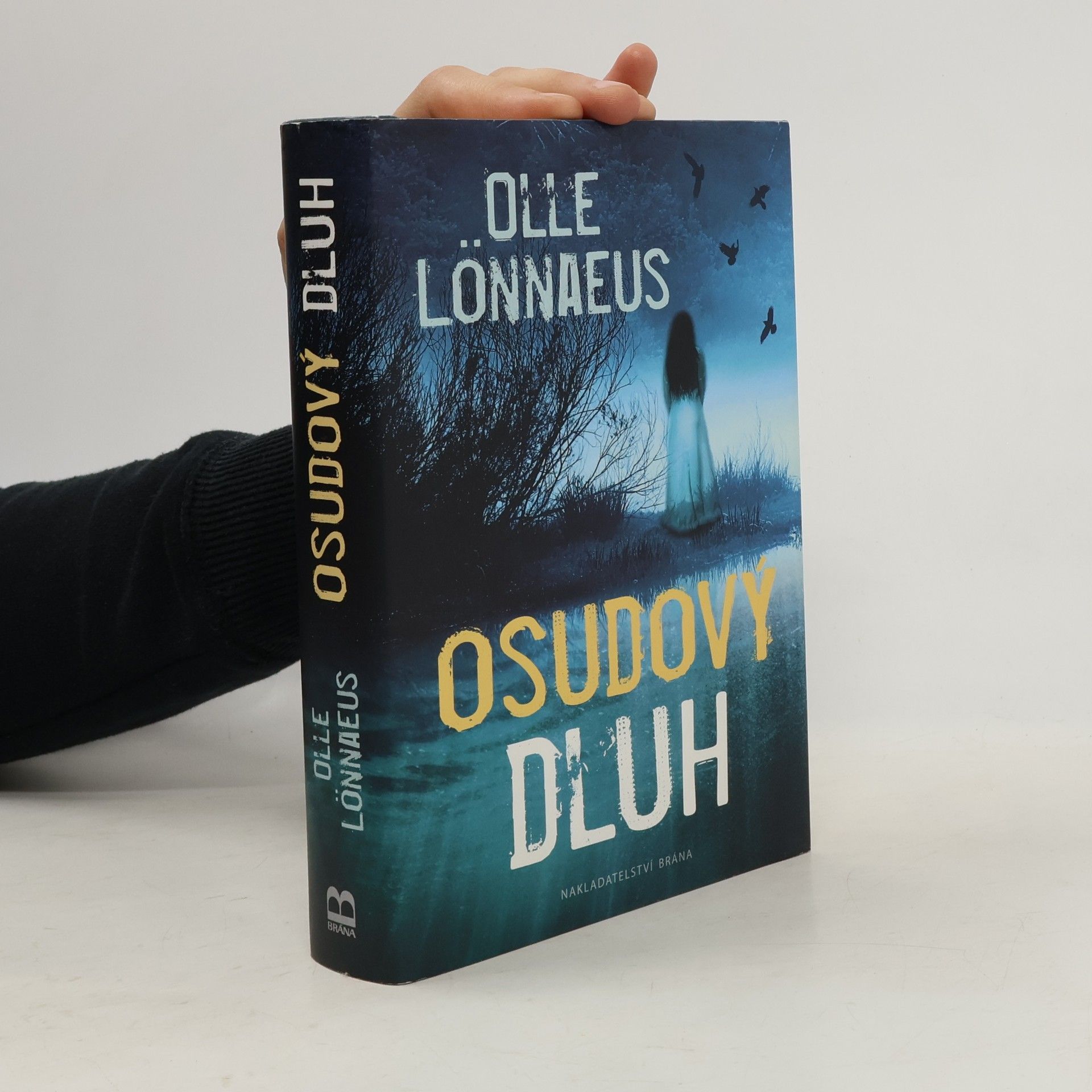 Olle Lönnaeus Osudový dluh