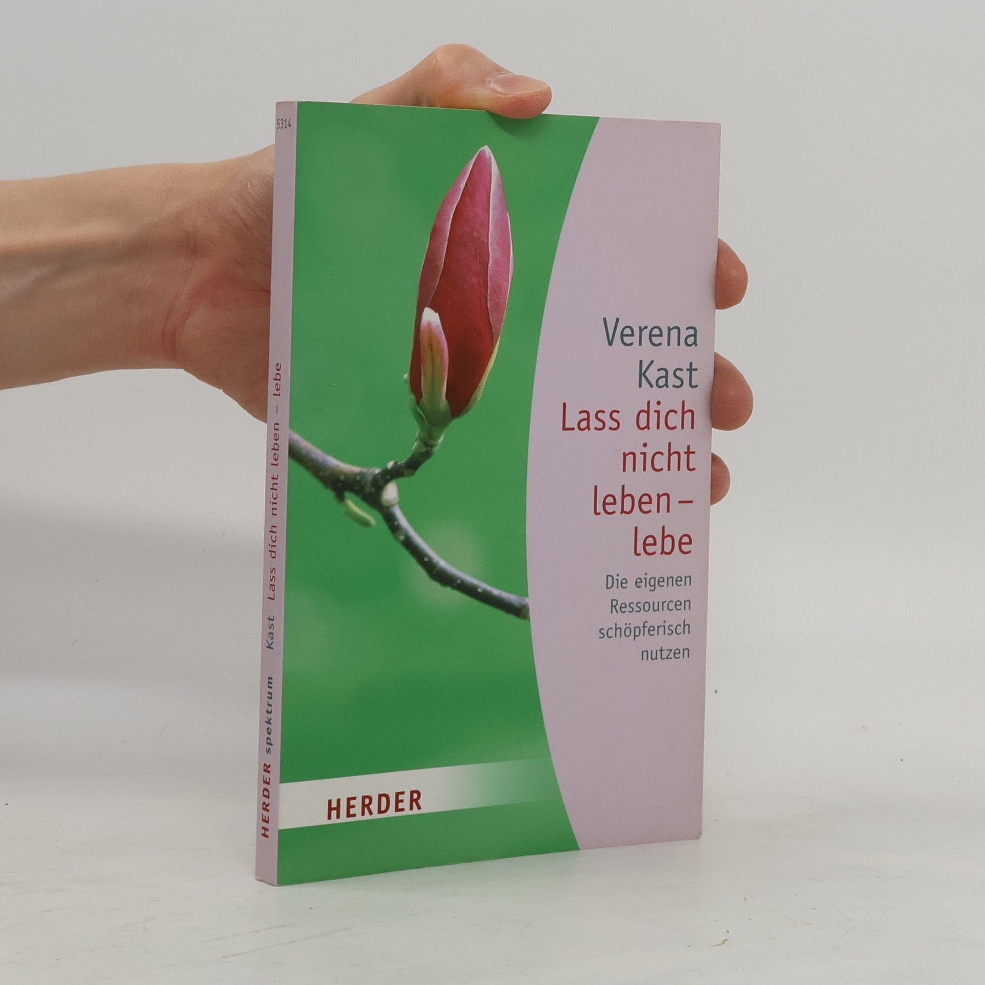 Verena Kast Lass dich nicht leben - lebe!