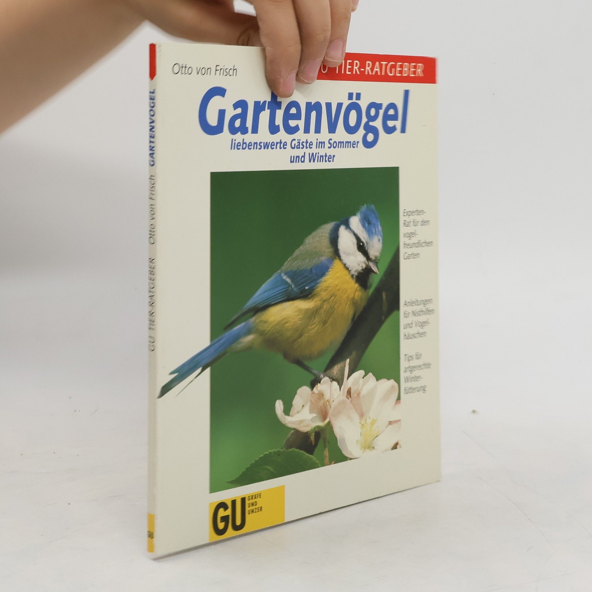 Otto von Frisch Gartenvögel - liebenswerte Gäste im Sommer und Winter