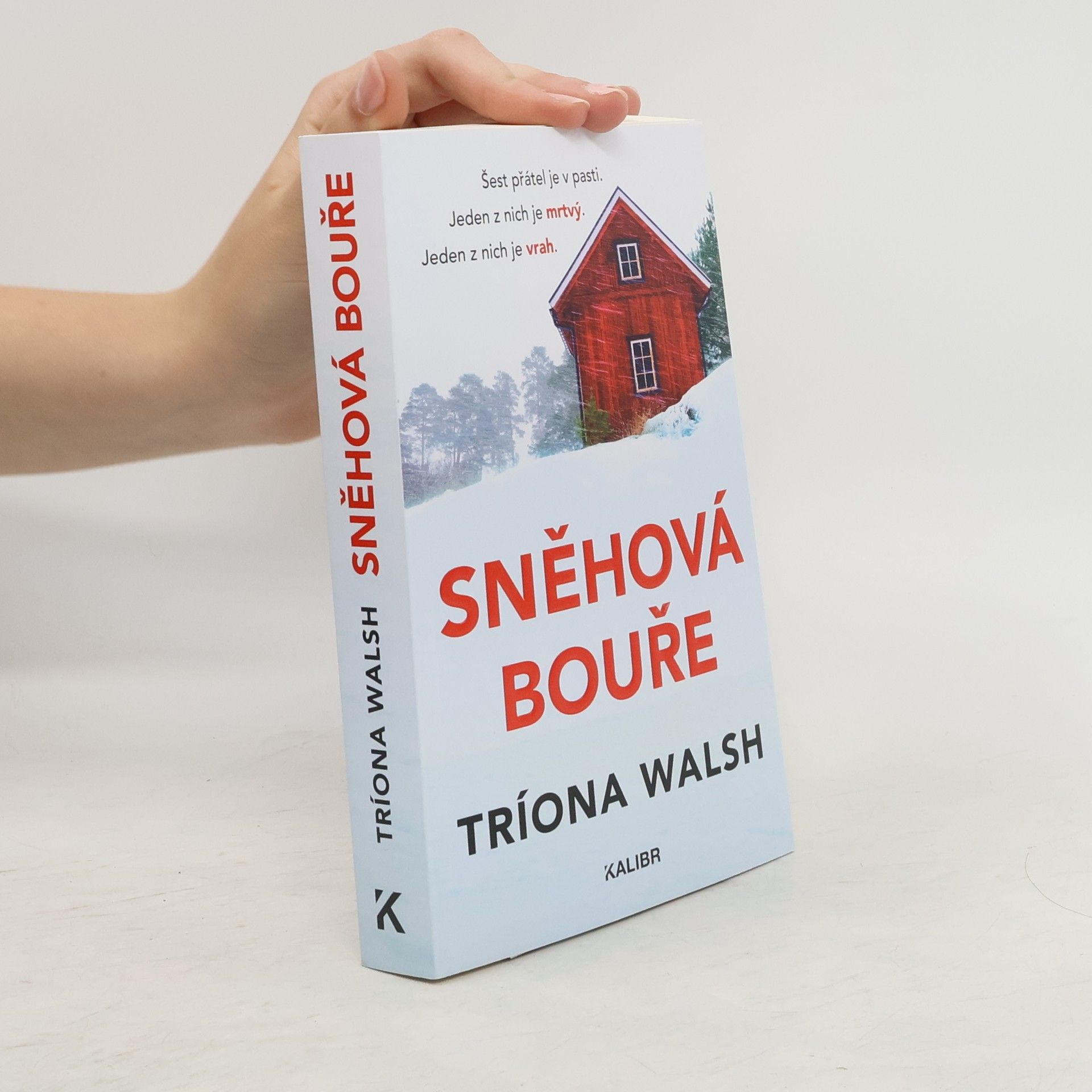 Tríona Walsh Sněhová bouře