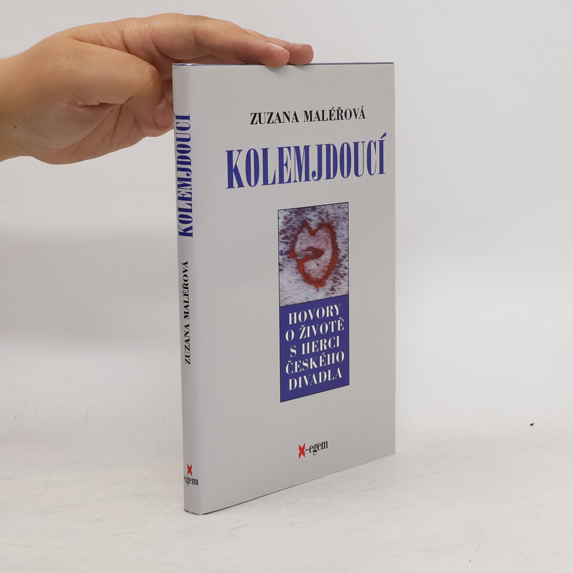 Zuzana Maléřová Kolemjdoucí