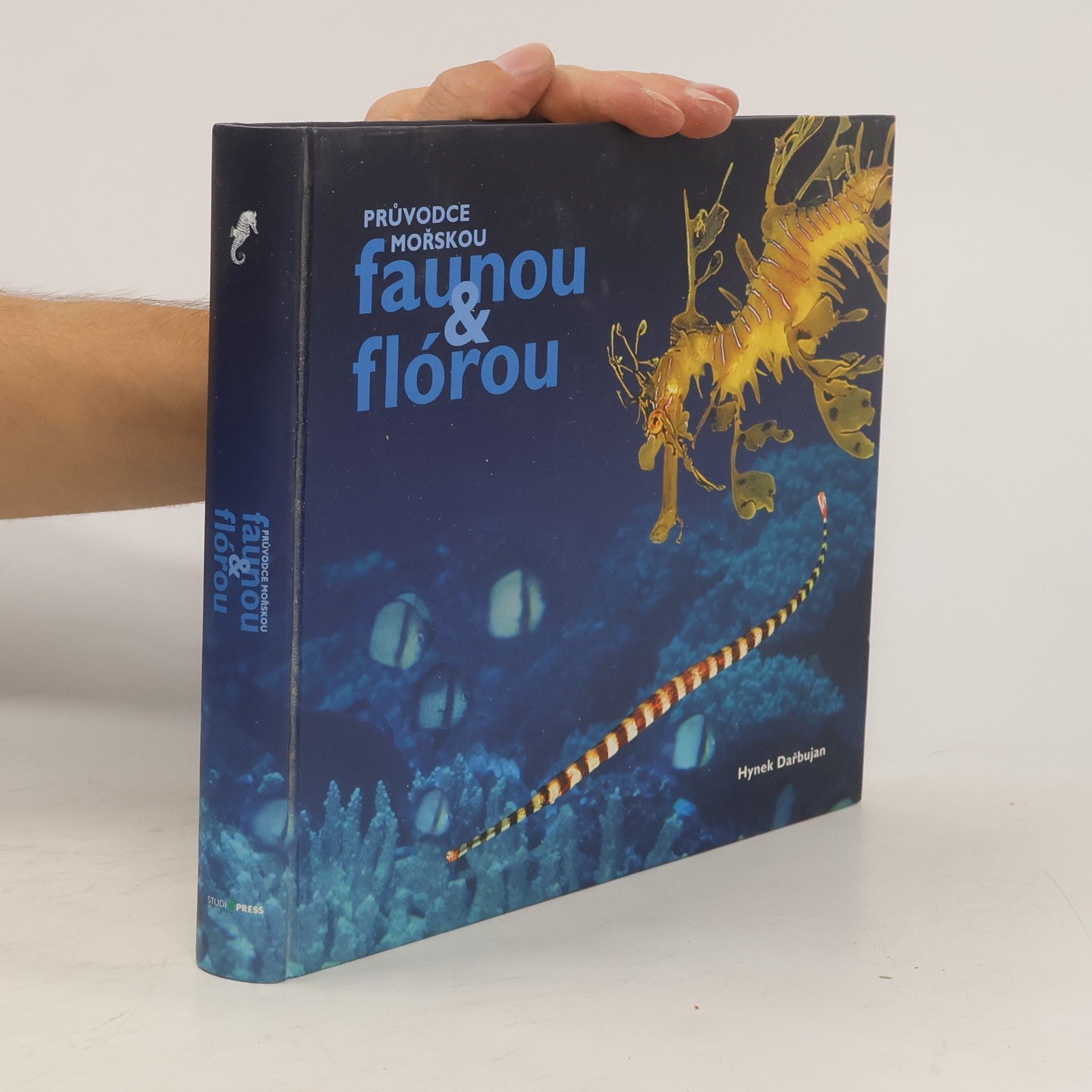 Hynek Dařbujan Průvodce mořskou faunou & flórou