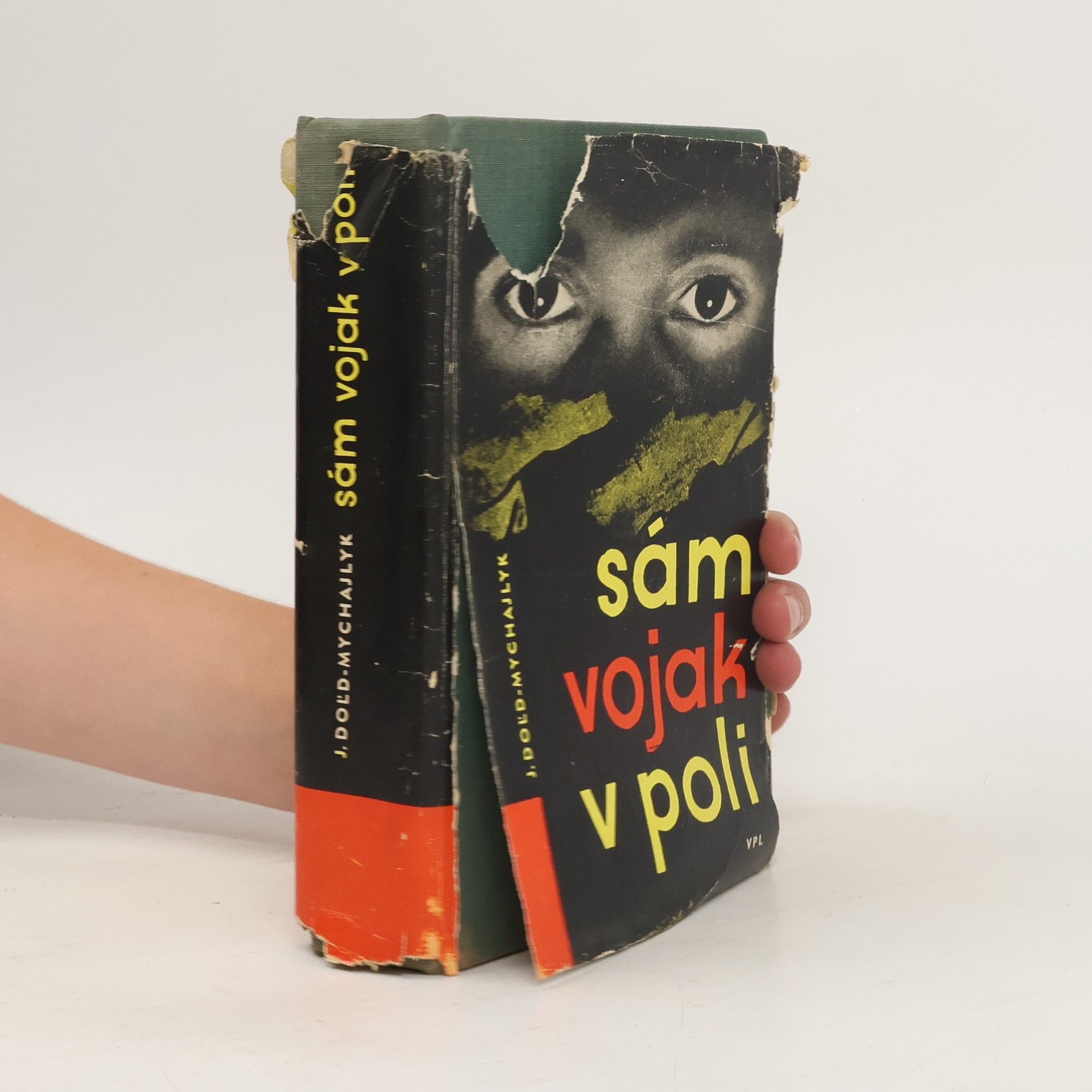 Jurij Dol'd-Mychajlyk Sám vojak v poli 1