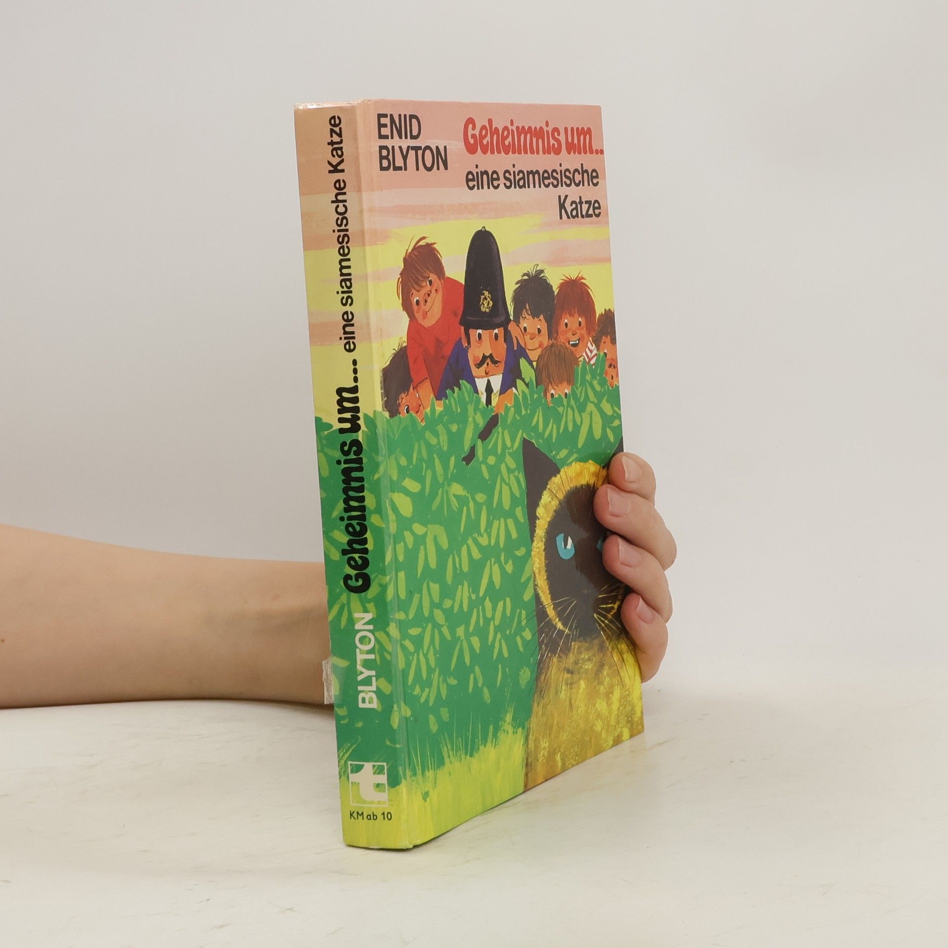 Enid Blyton Geheimnis um... eine siamesische Katze