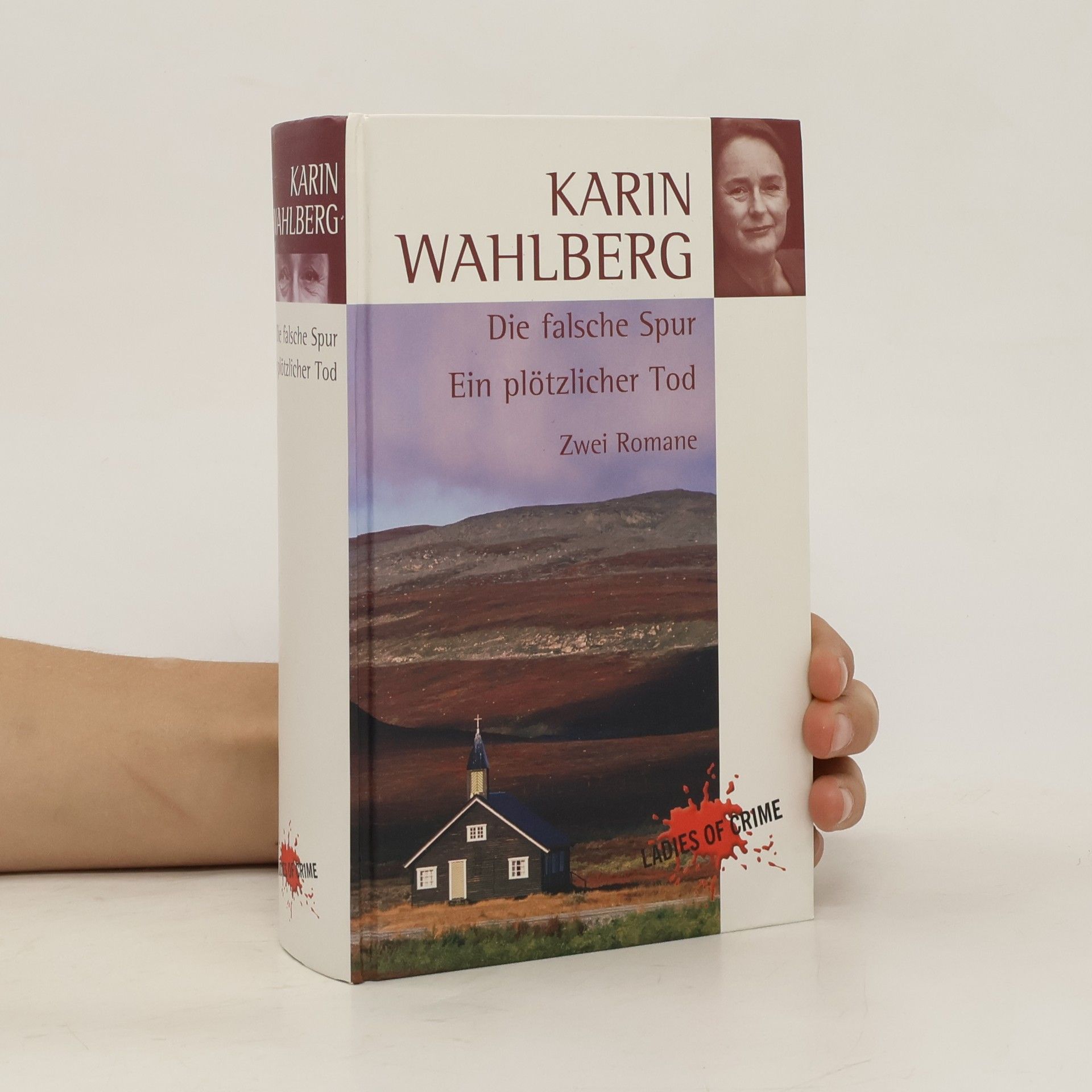 Karin Wahlberg Die falsche Spur Ein plötzlicher Tod