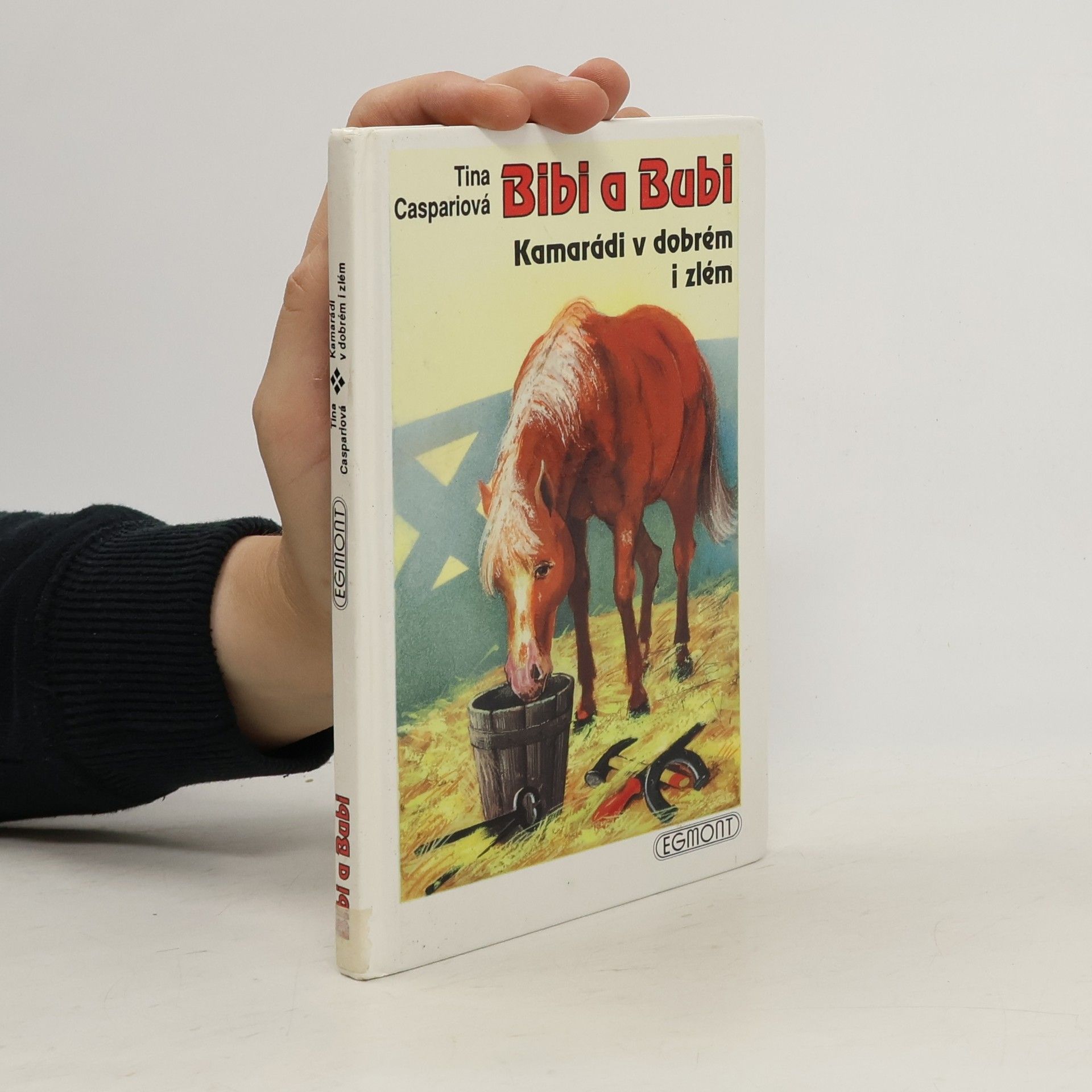 Tina Caspari Bibi a Bubi. Kamarádi v dobrém i zlém