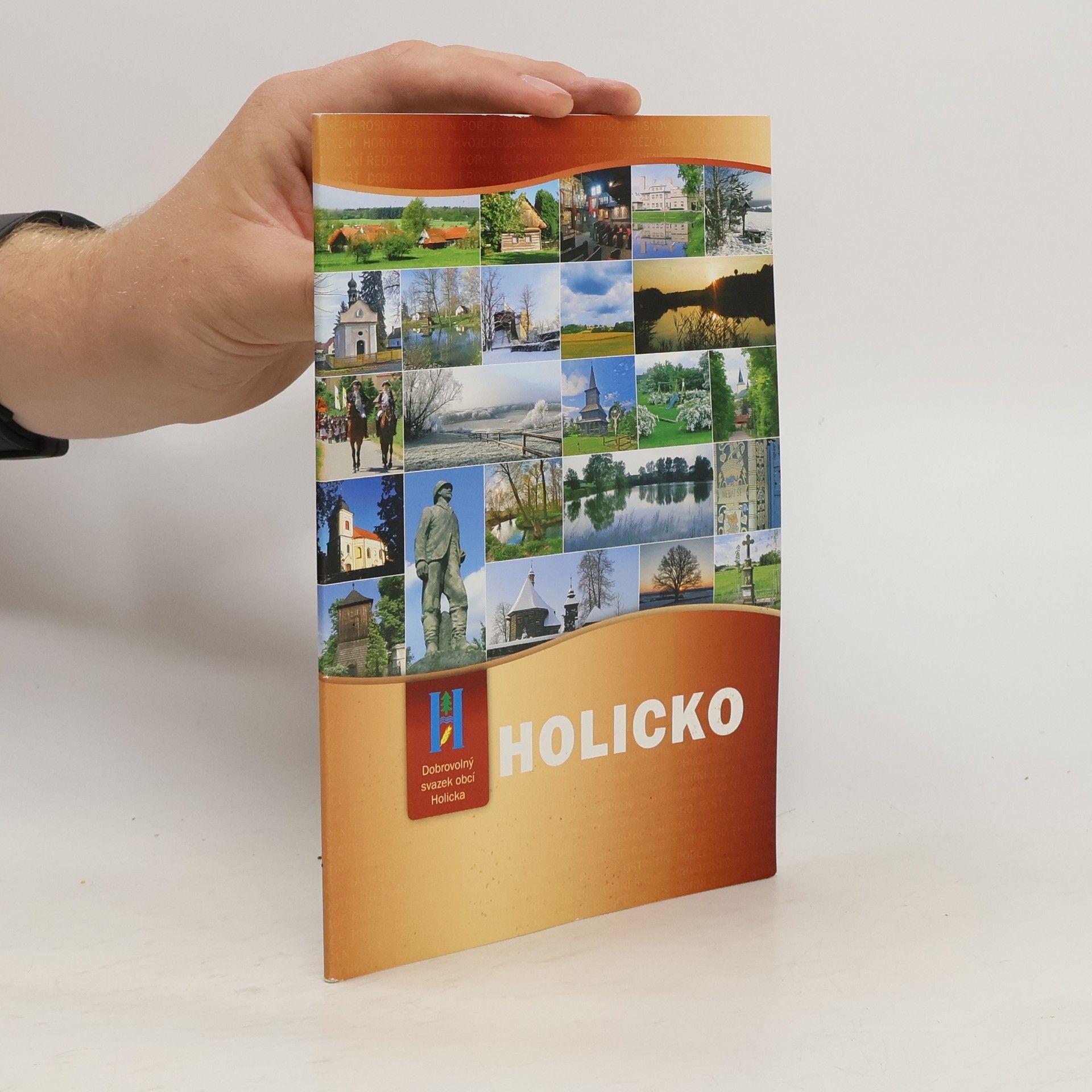 Pavel Hladík Holicko