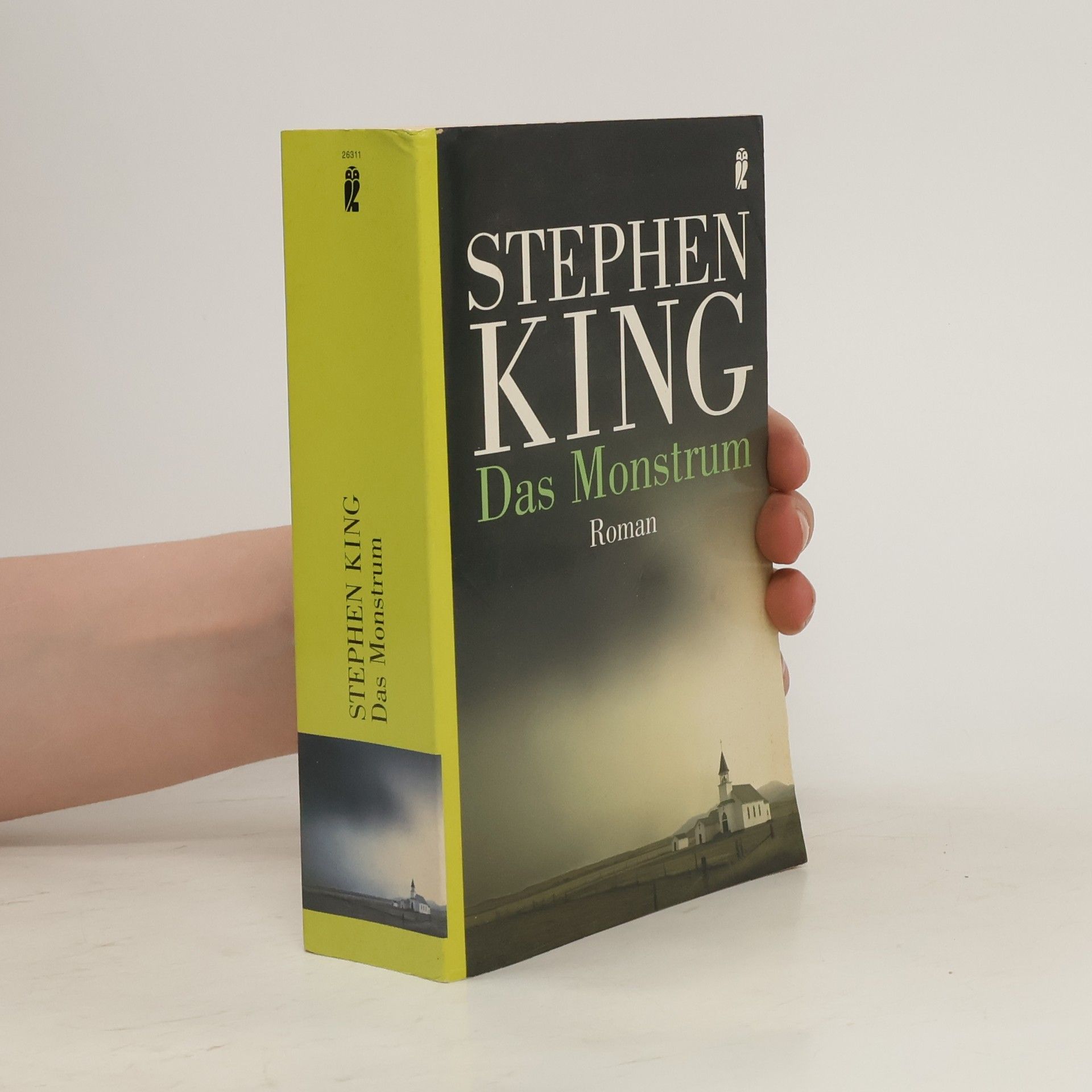 Stephen King Das Monstrum