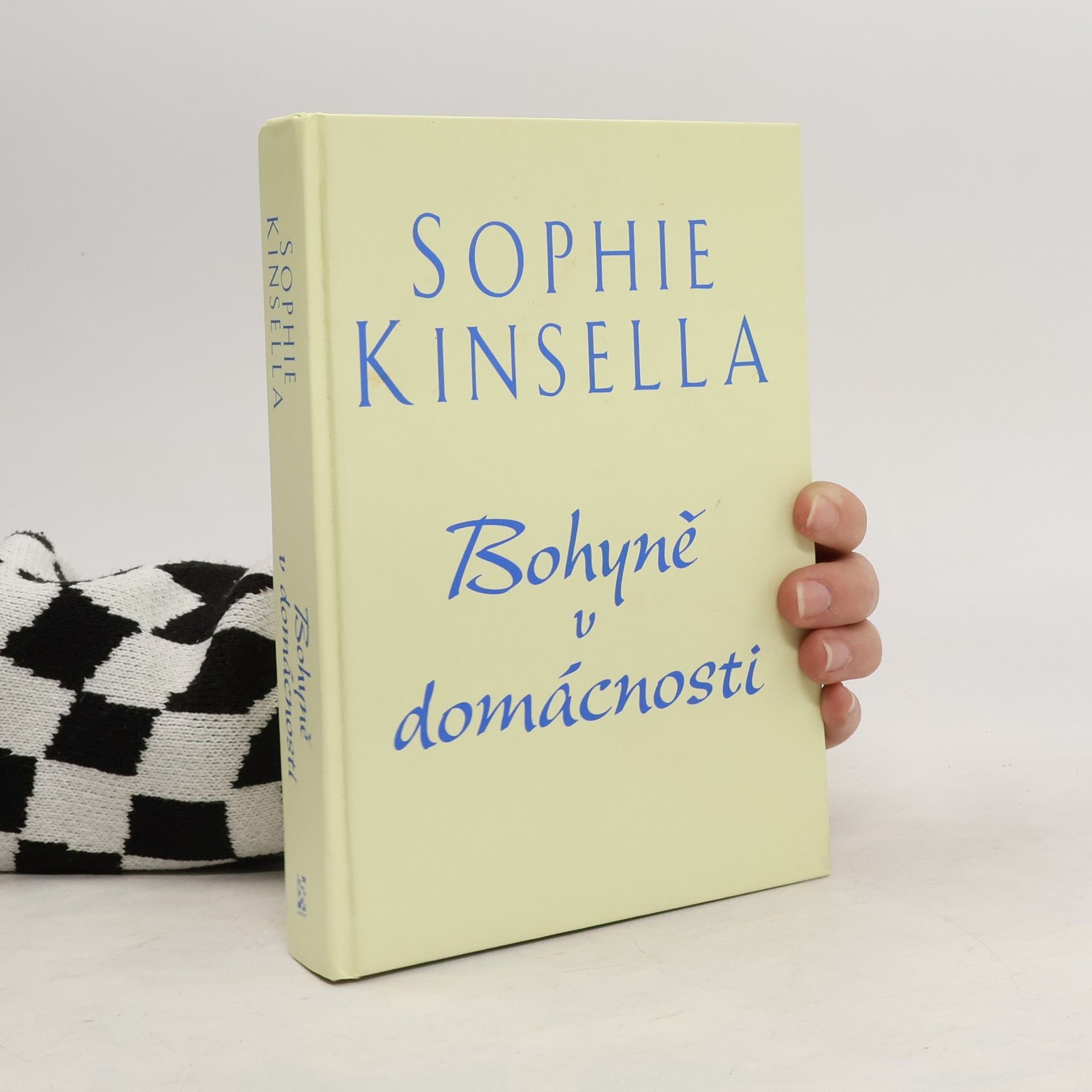 Sophie Kinsella Bohyně v domácnosti