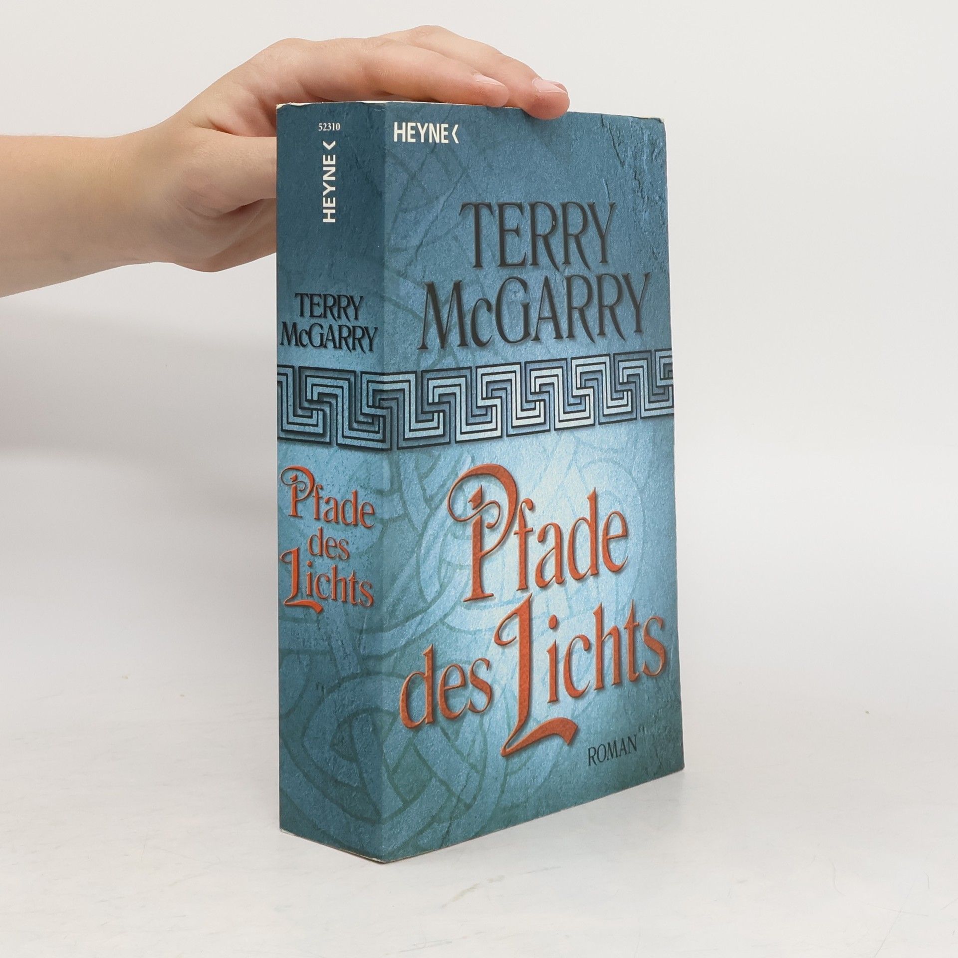 Terry Mcgarry Pfade des Lichts