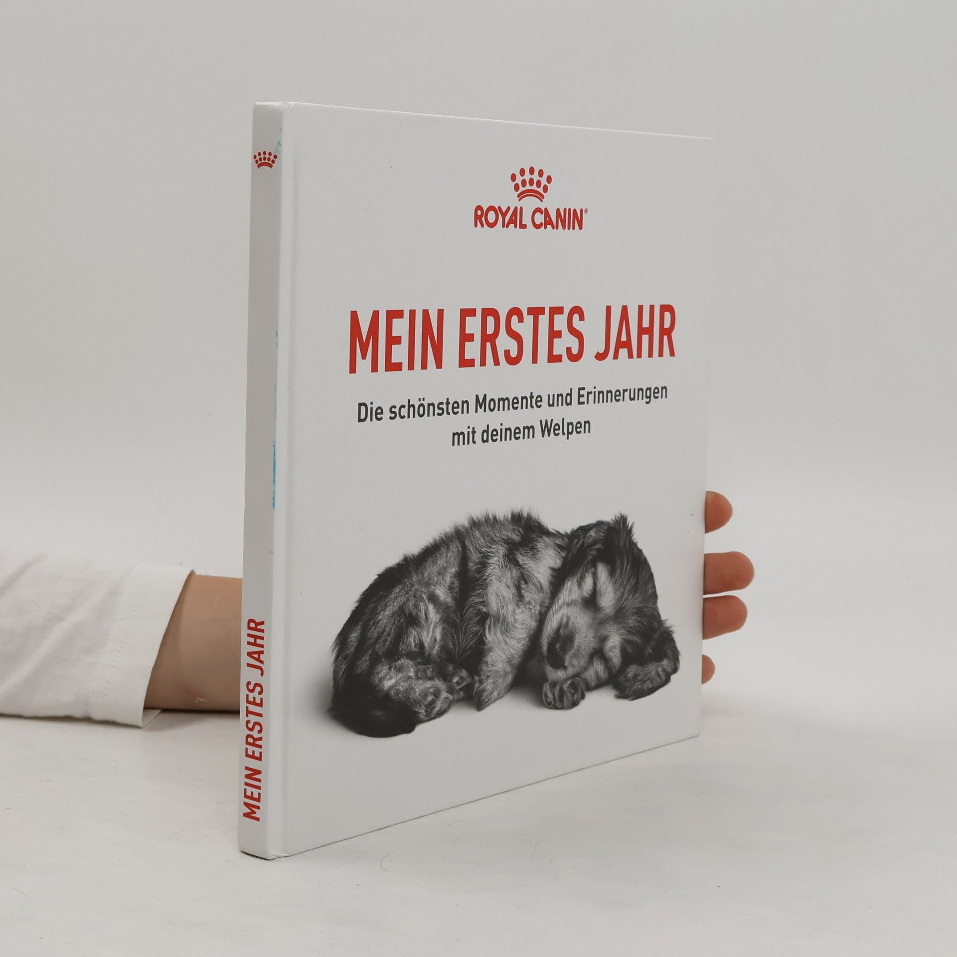 Collectif d'auteurs Mein Erstes Jahr