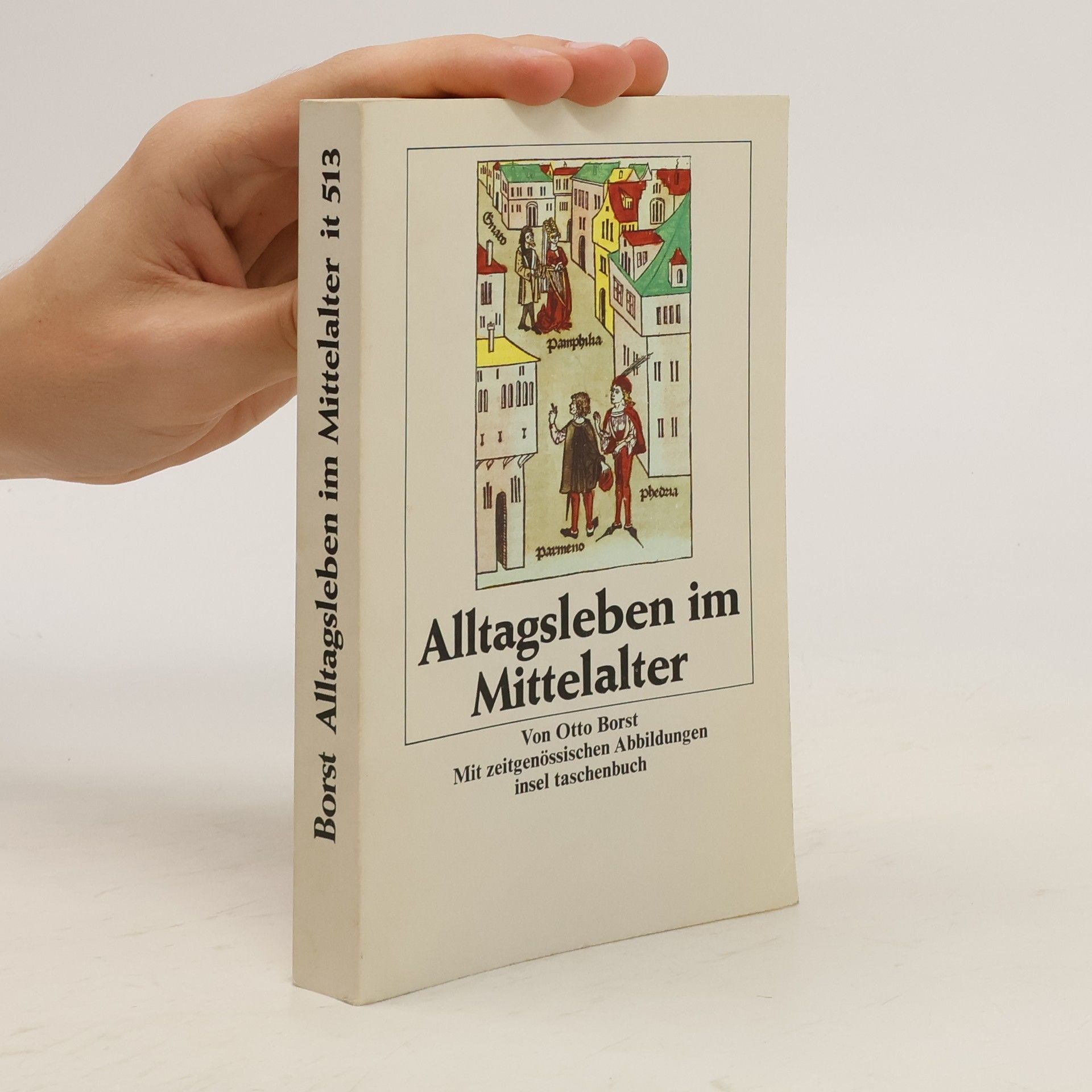Otto Borst Alltagsleben im Mittelalter