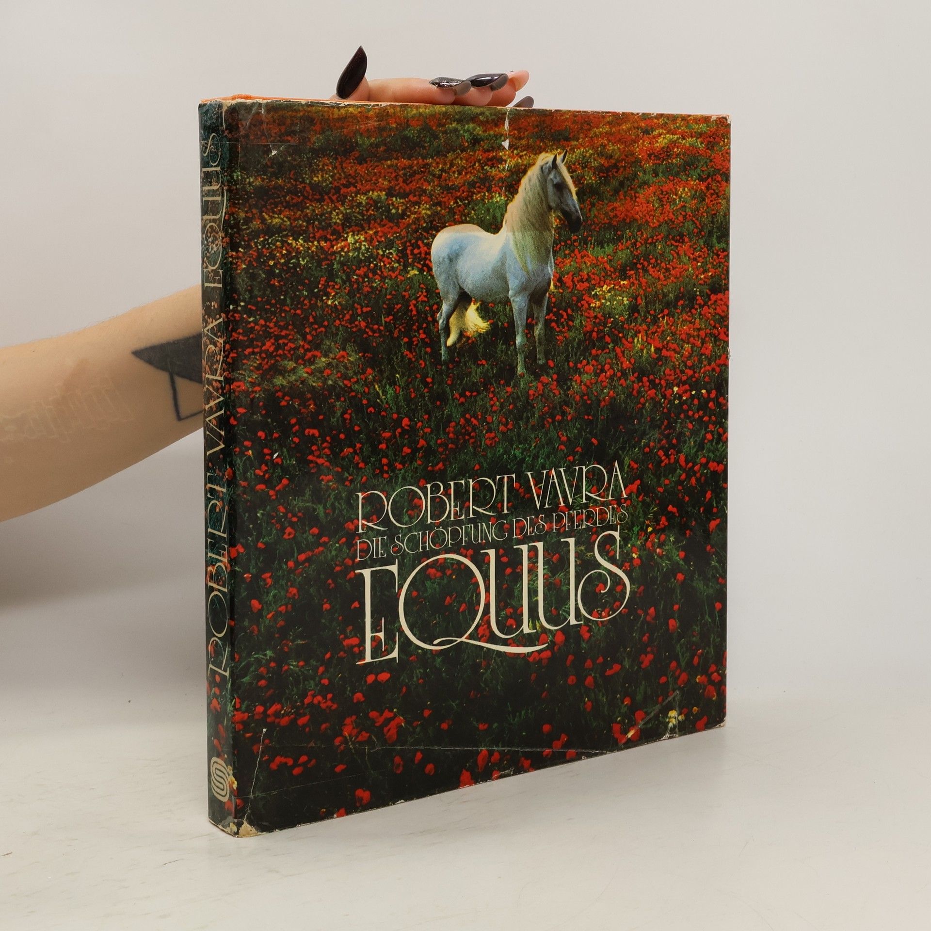 Robert Vavra Equus