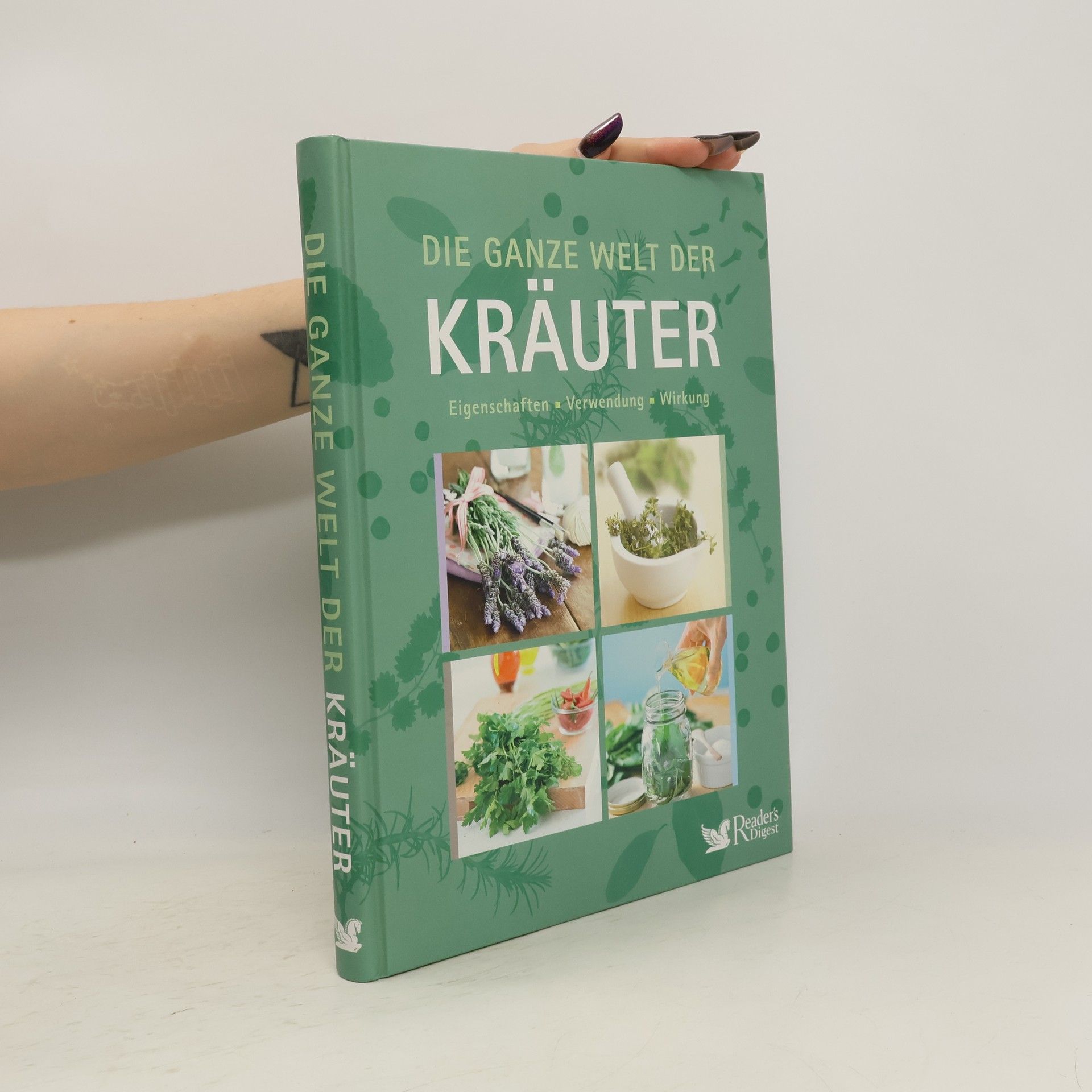 Falko Spiller Die ganze Welt der Kräuter