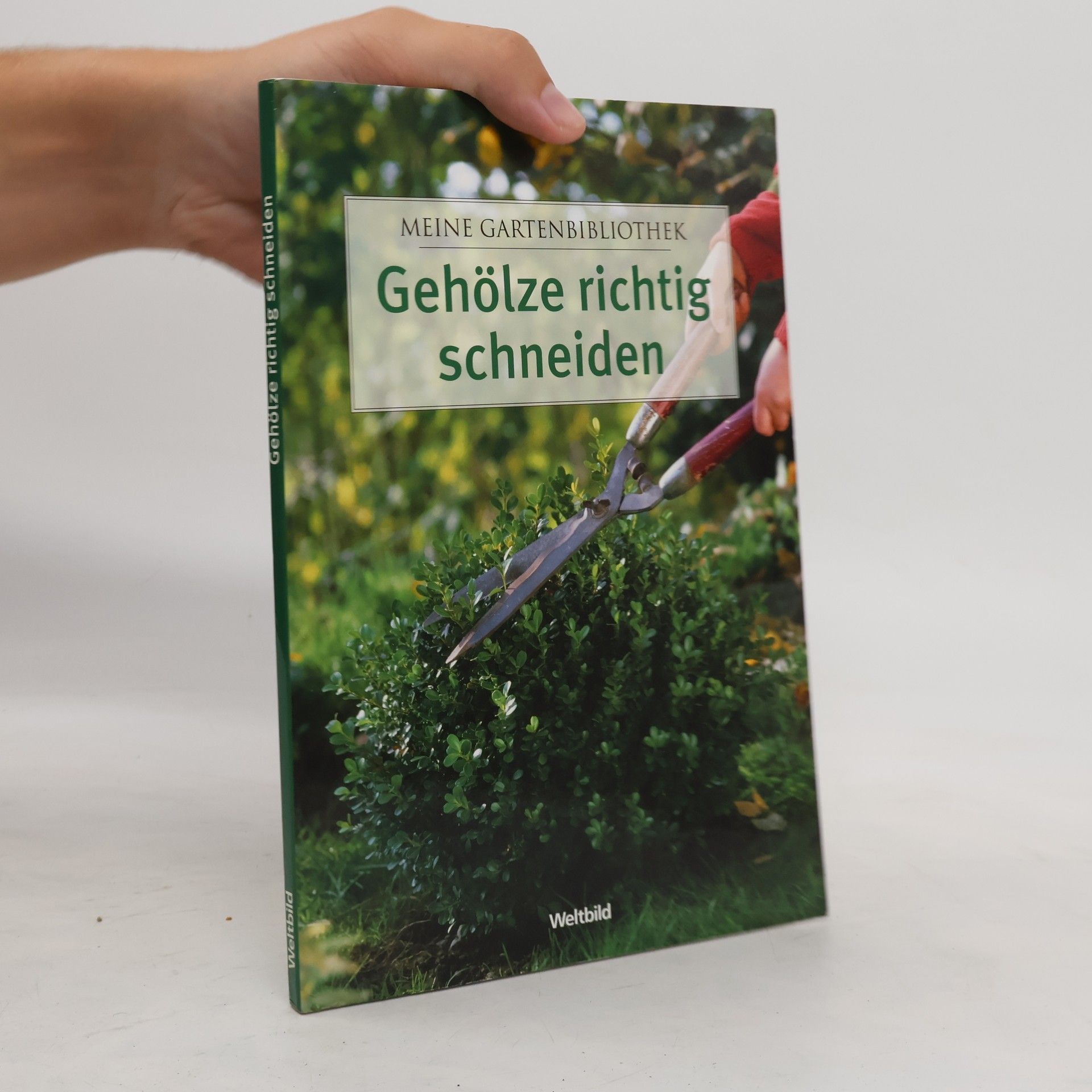 Autorenkollektiv Gehölze richtig schneiden