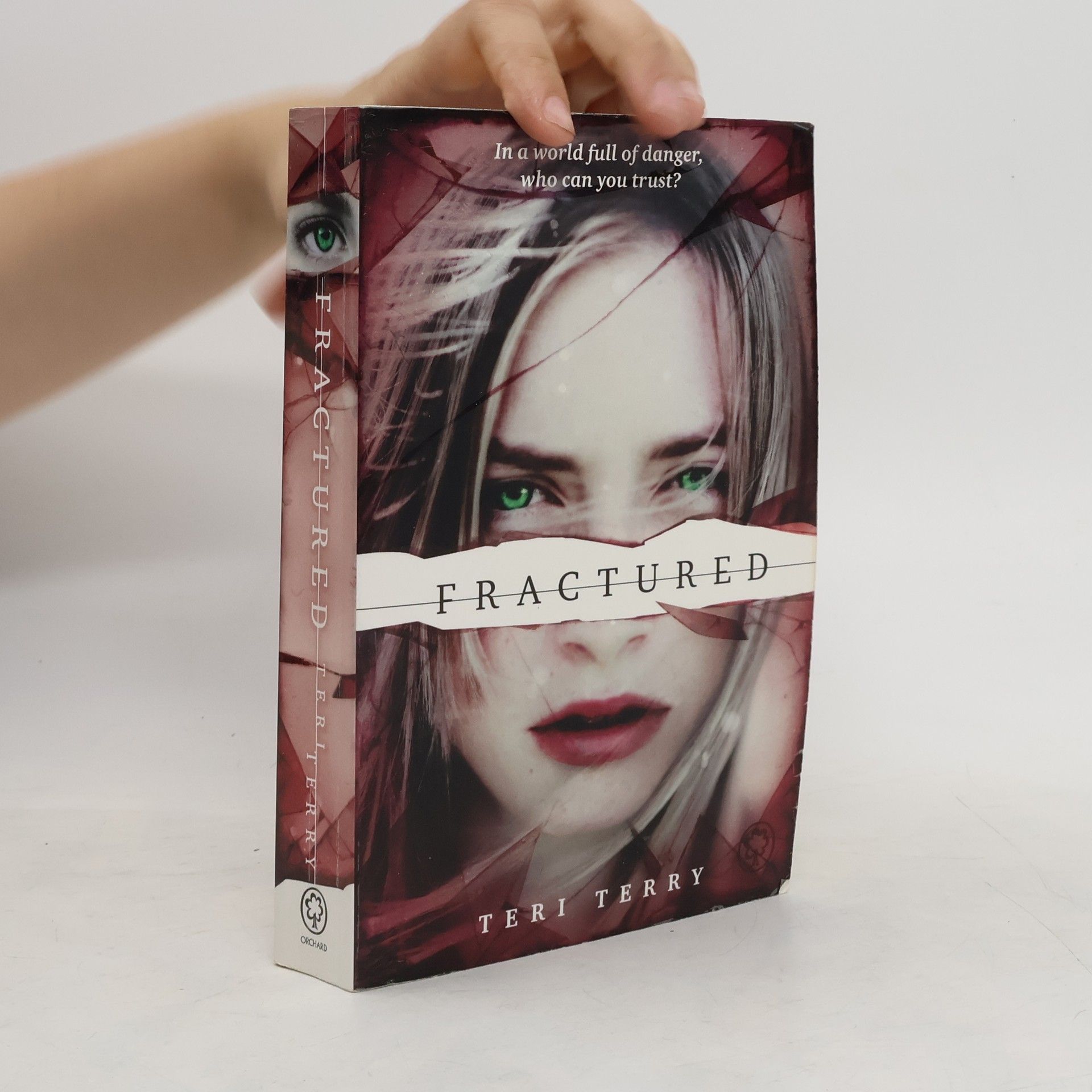 Teri Terry Fractured