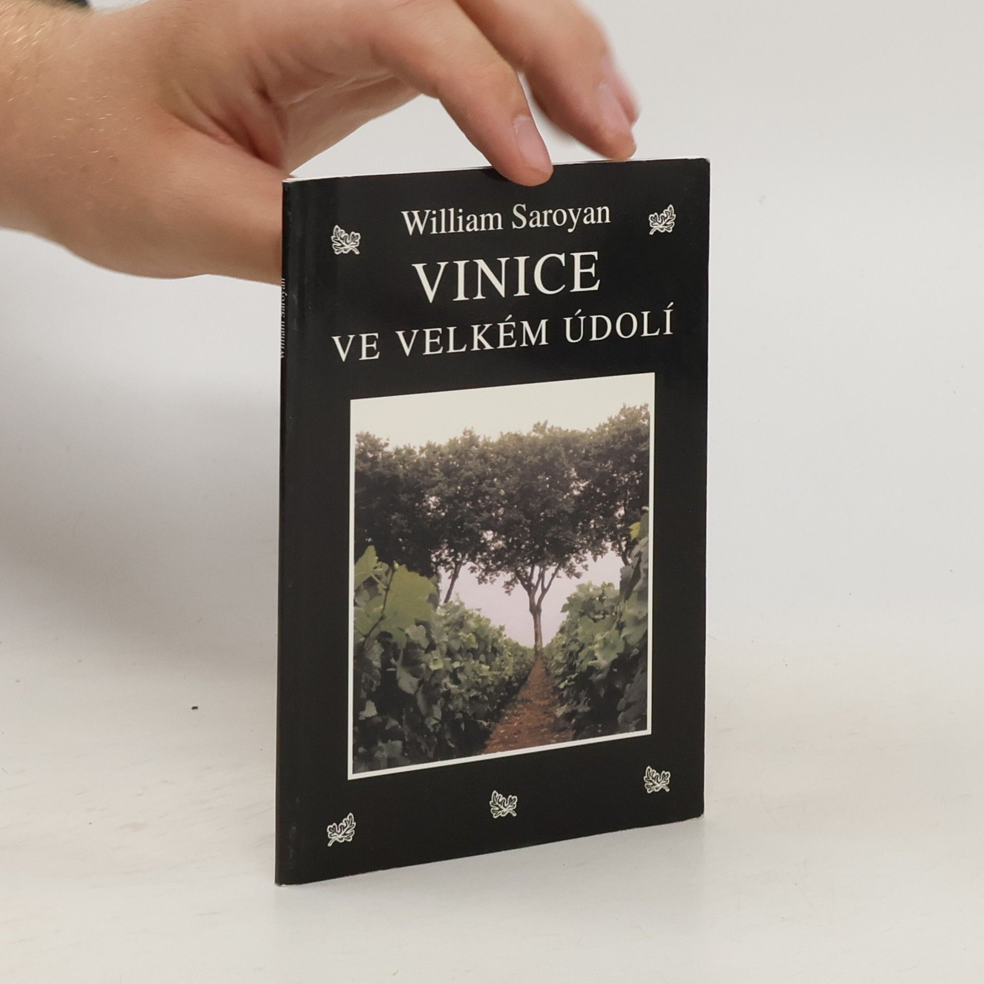 William Saroyan Vinice ve velkém údolí